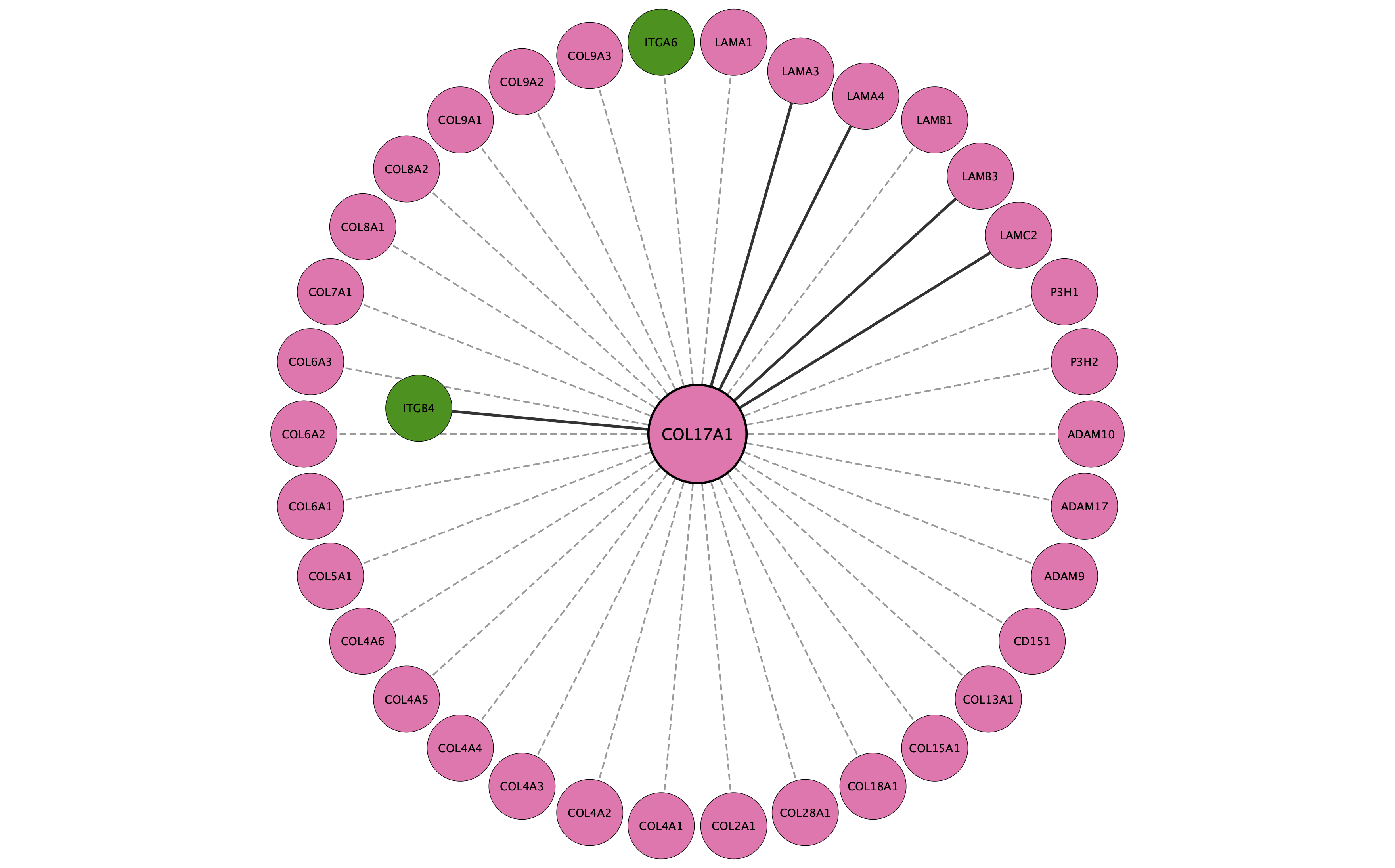 COL17A1 protein interaction network