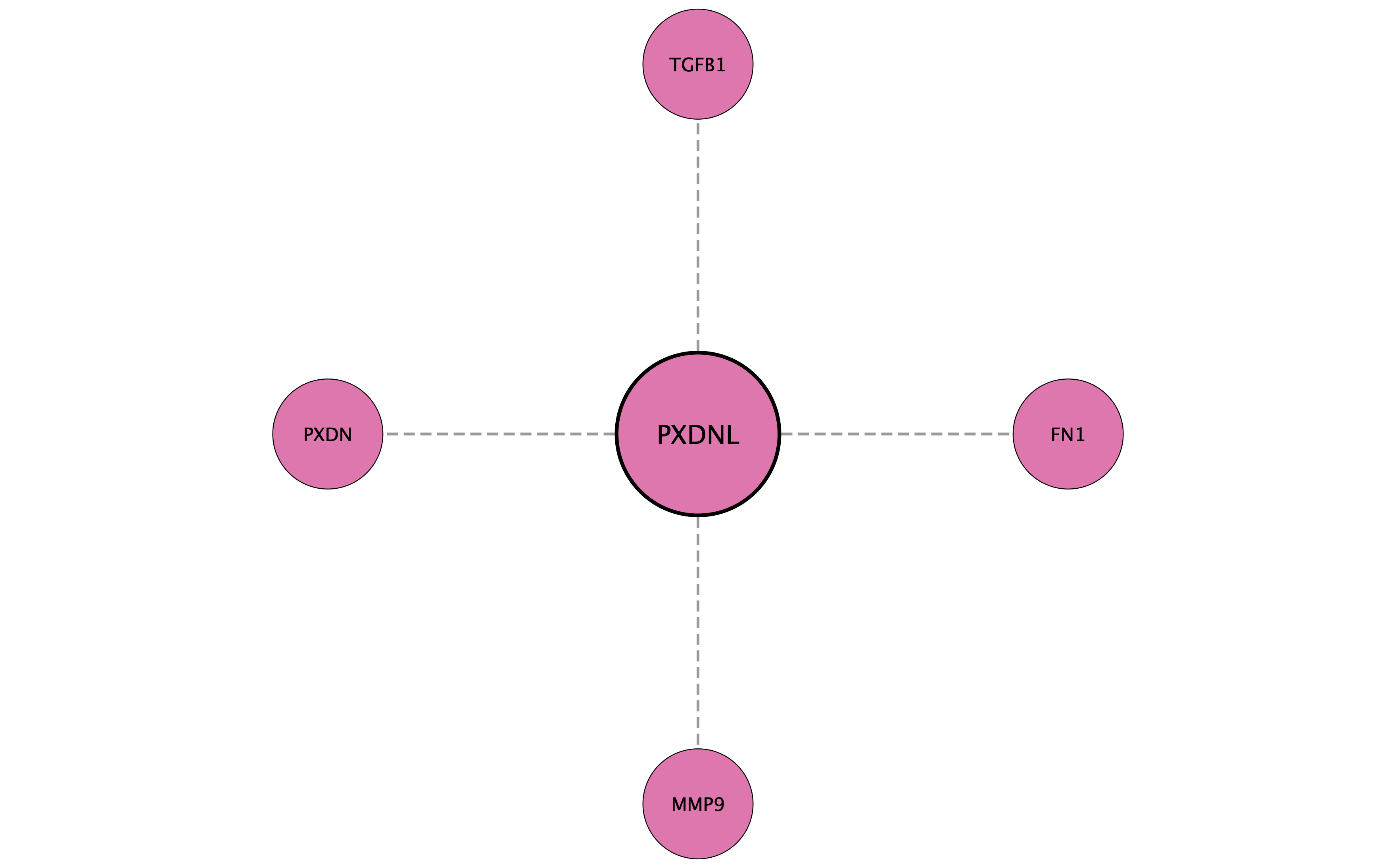 PXDNL protein interaction network