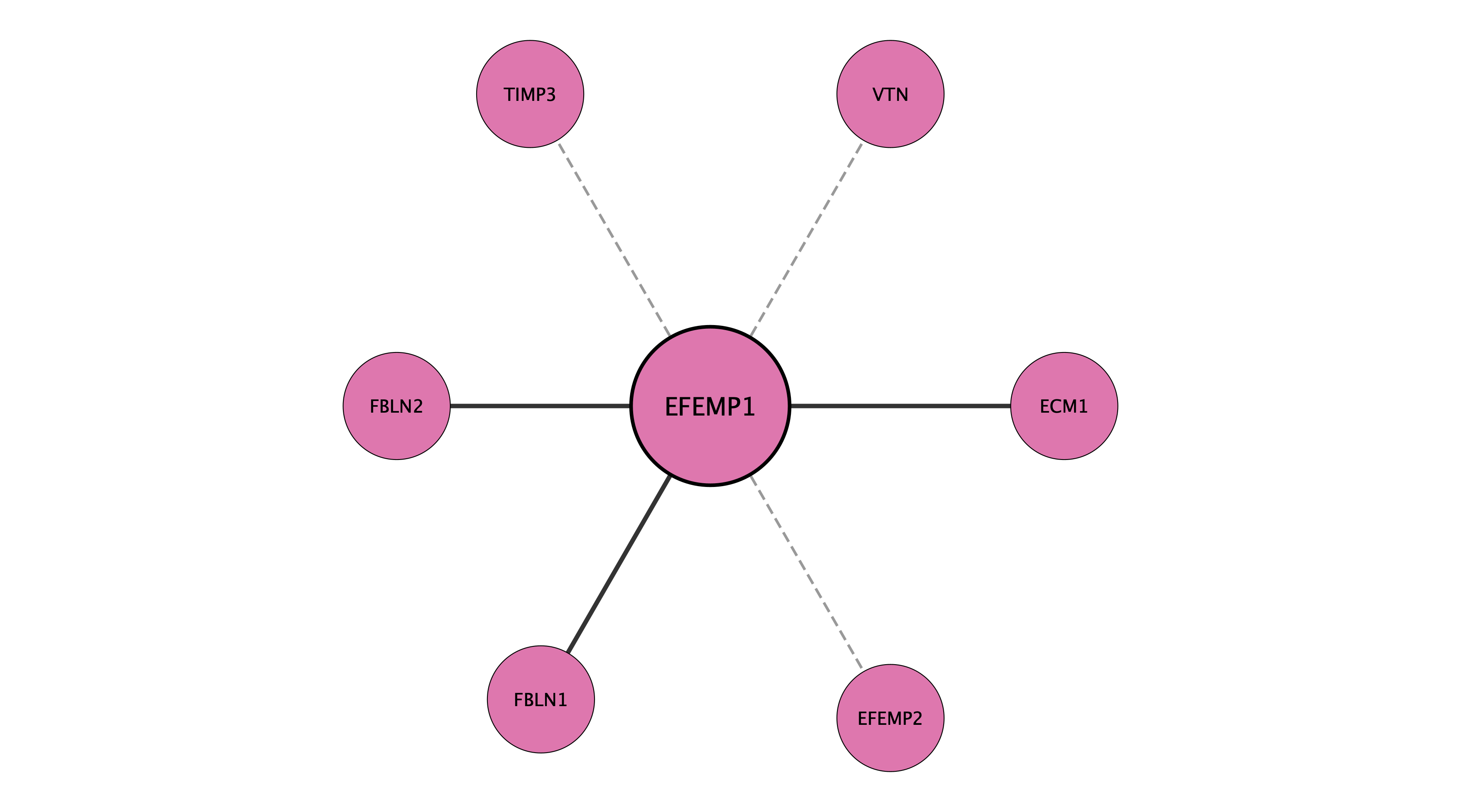 EFEMP1 protein interaction network