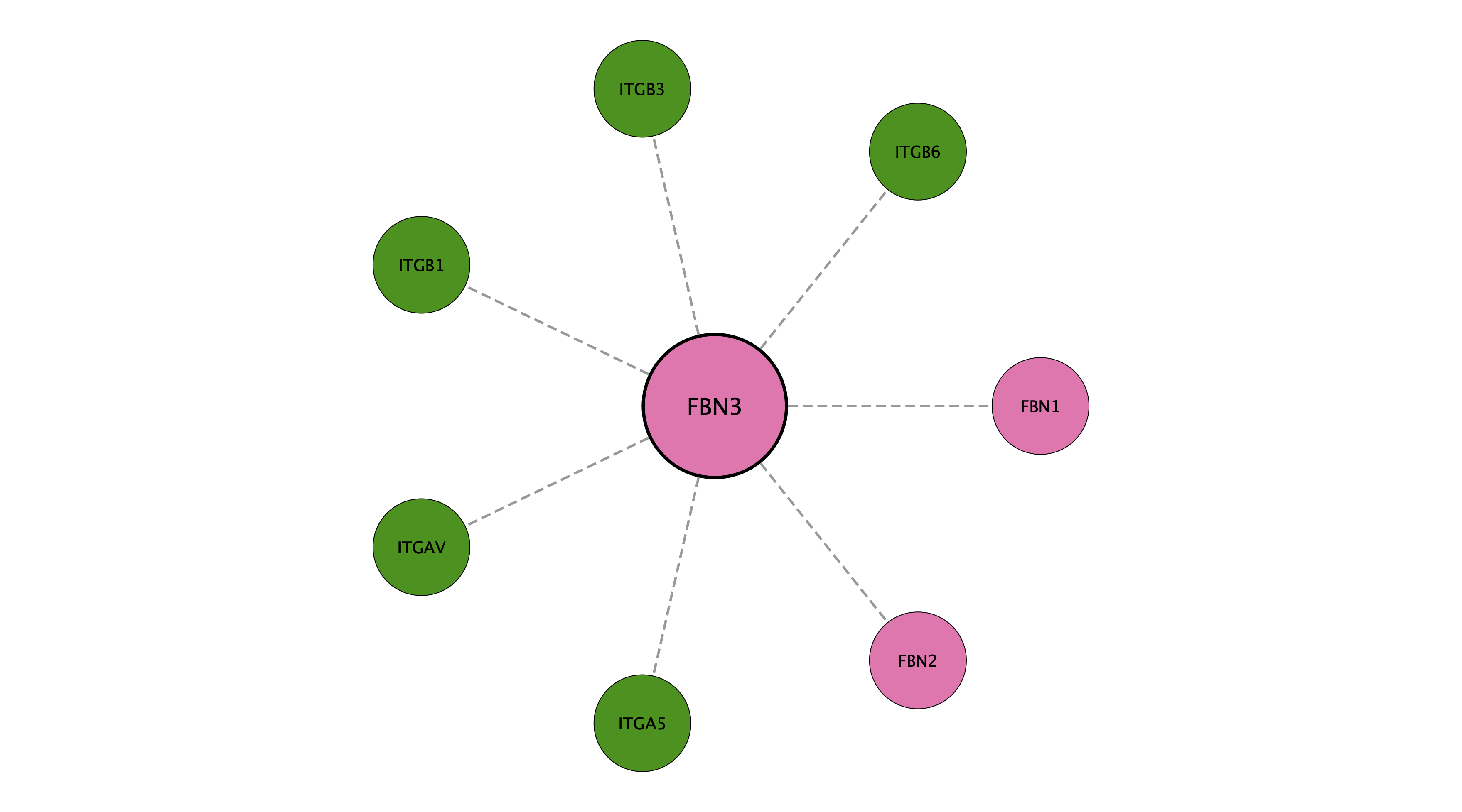FBN3 protein interaction network