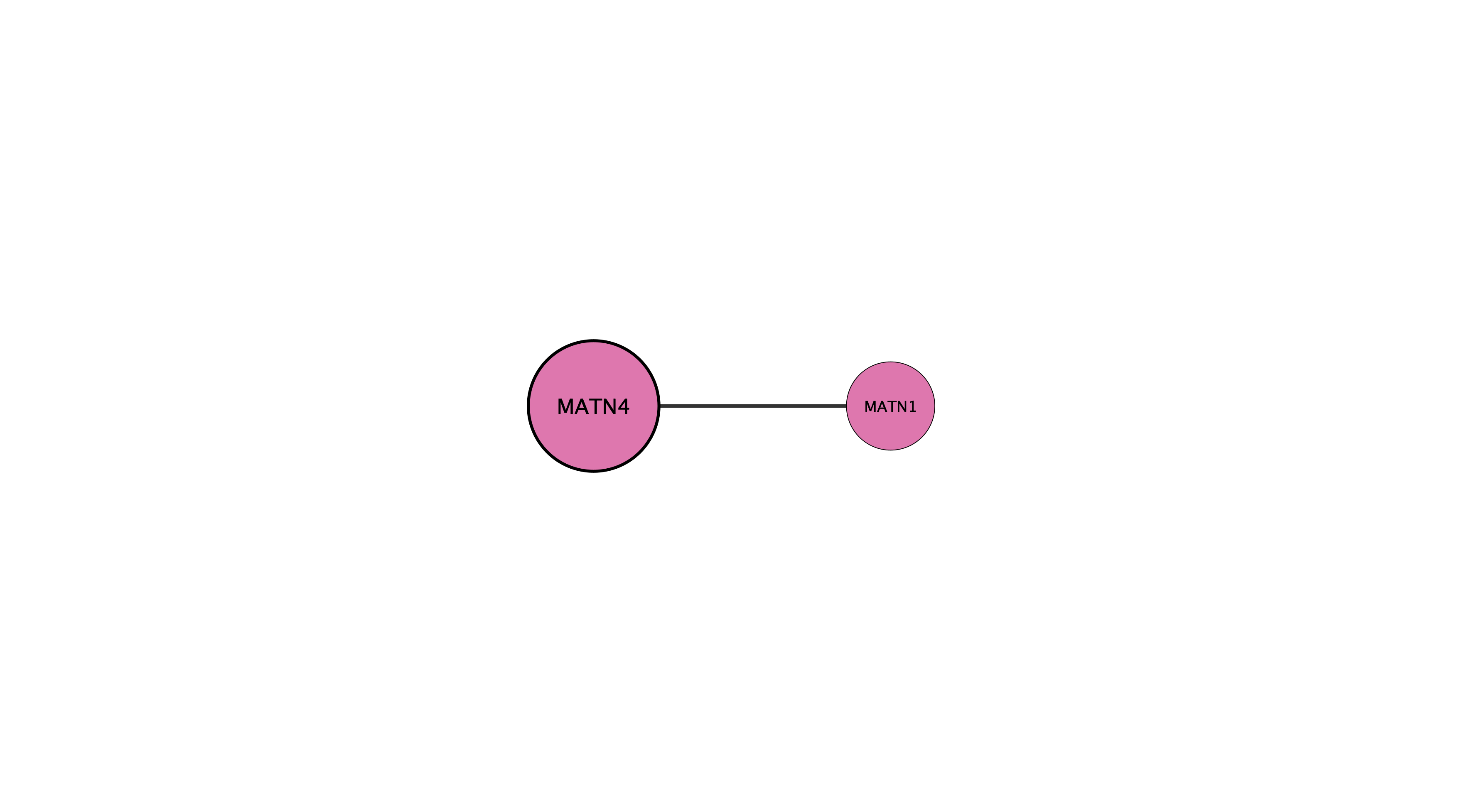 MATN4 protein interaction network