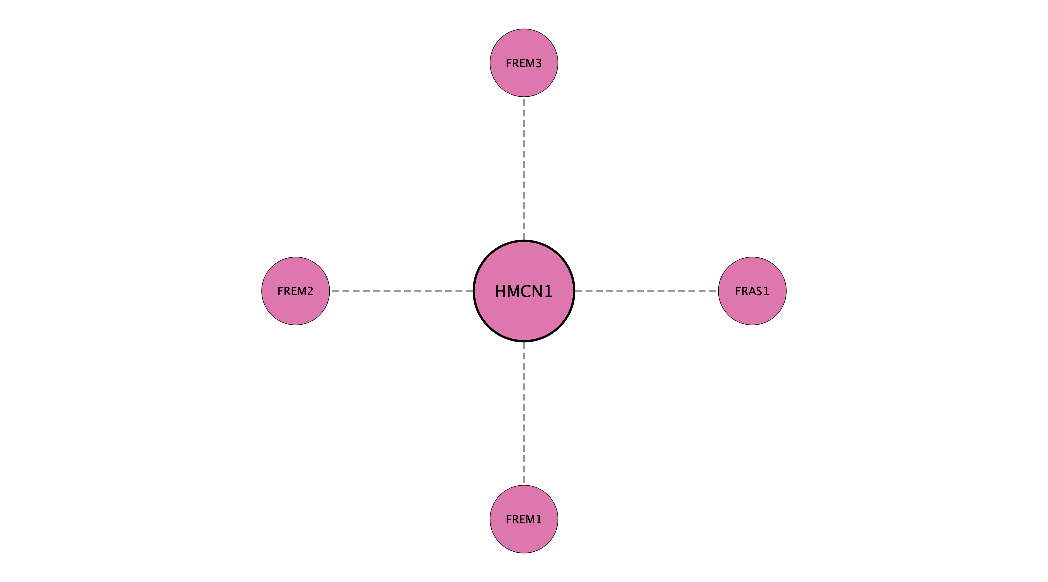 HMCN1 protein interaction network