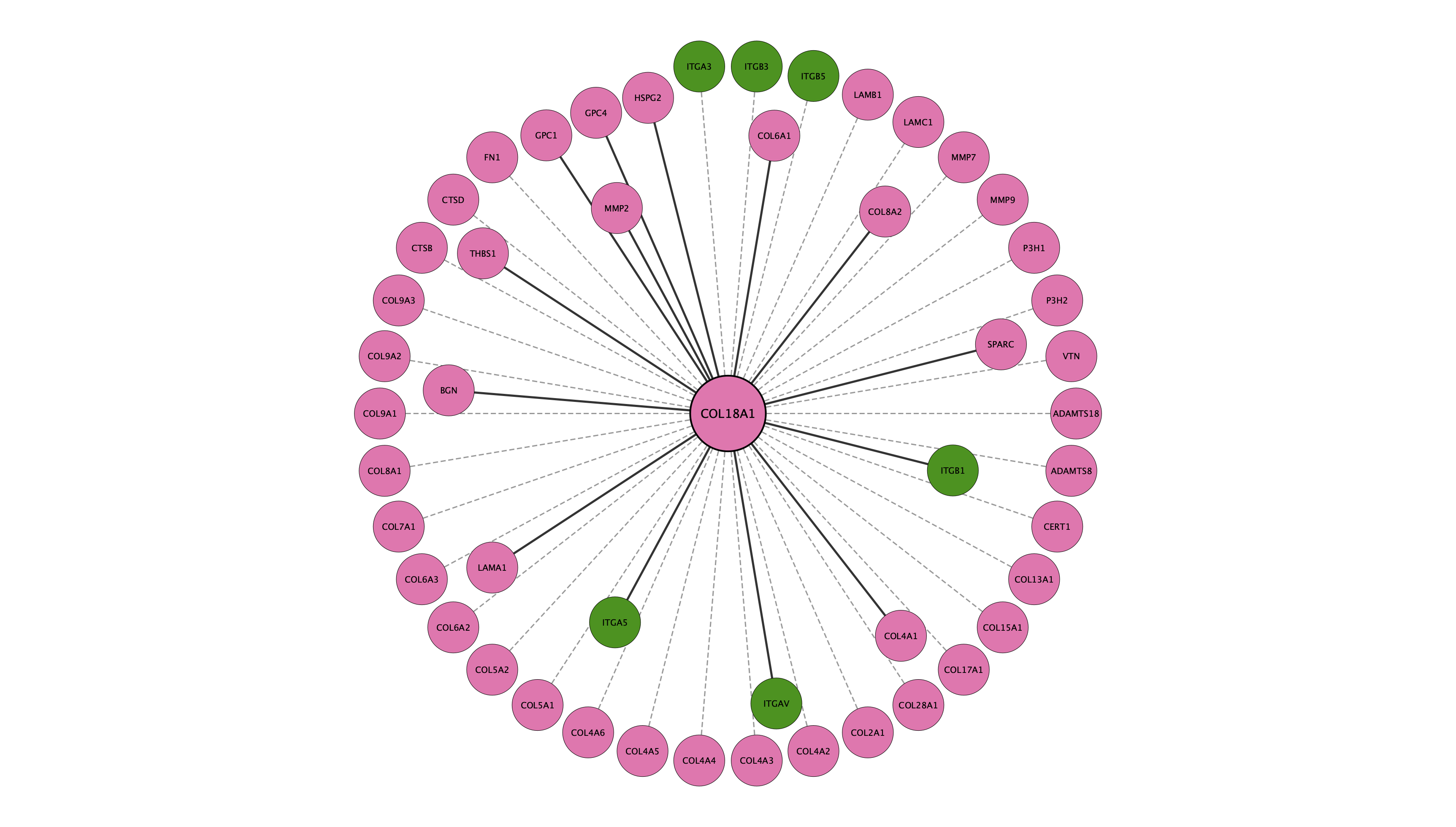 COL18A1 protein interaction network