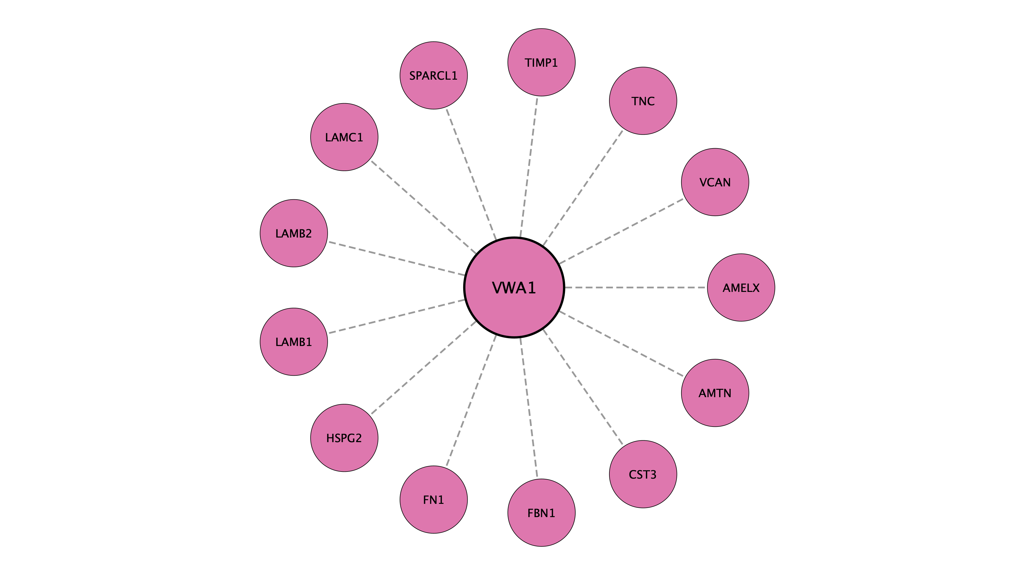 VWA1 protein interaction network