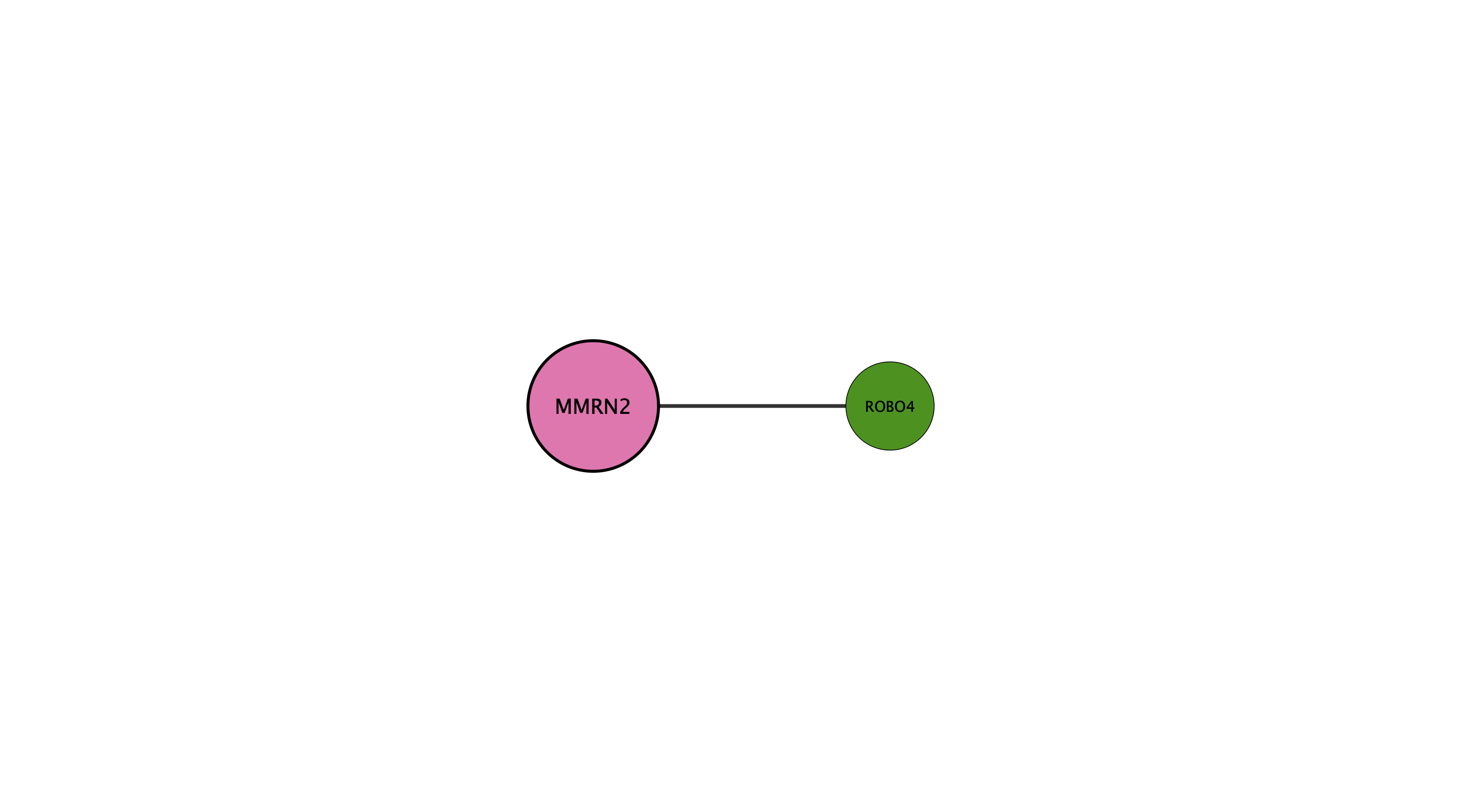 MMRN2 protein interaction network