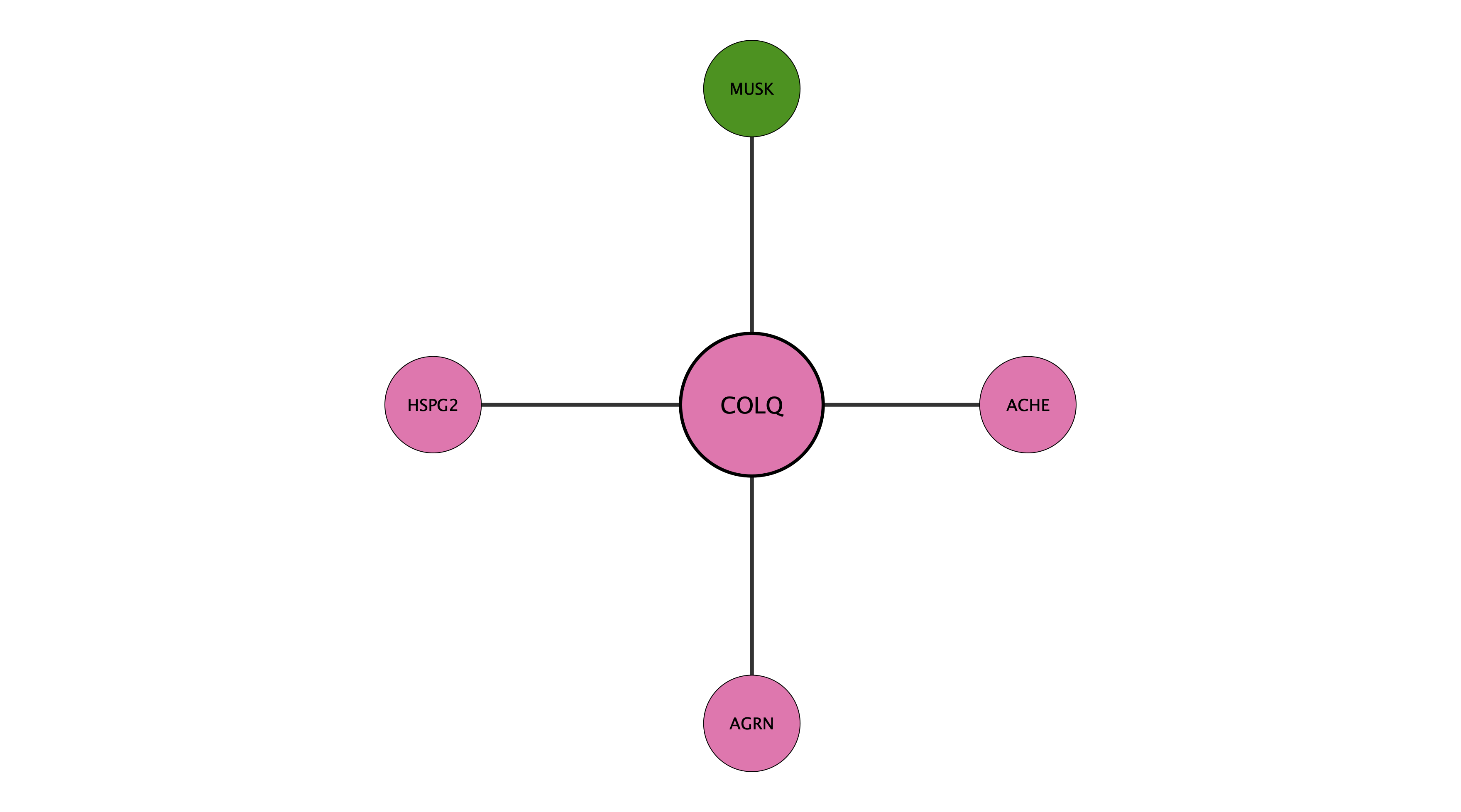 COLQ protein interaction network