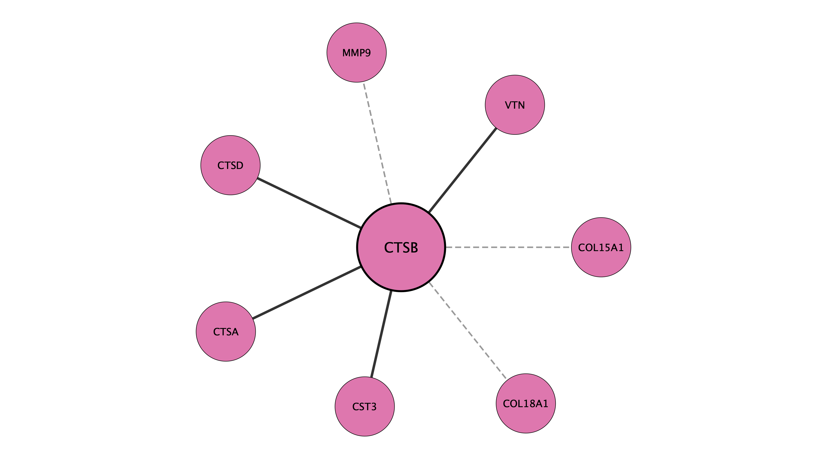 CTSB protein interaction network