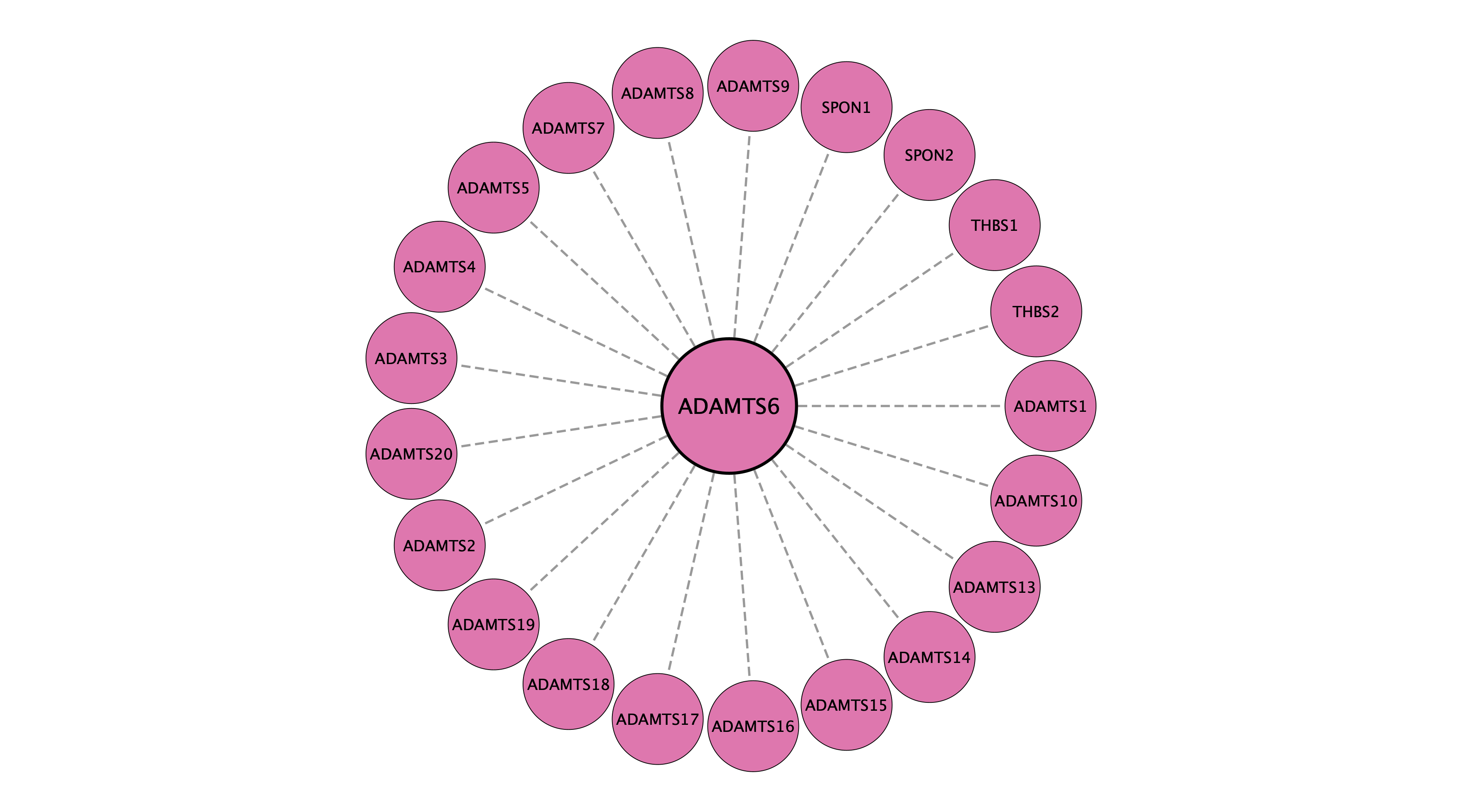 ADAMTS6 protein interaction network