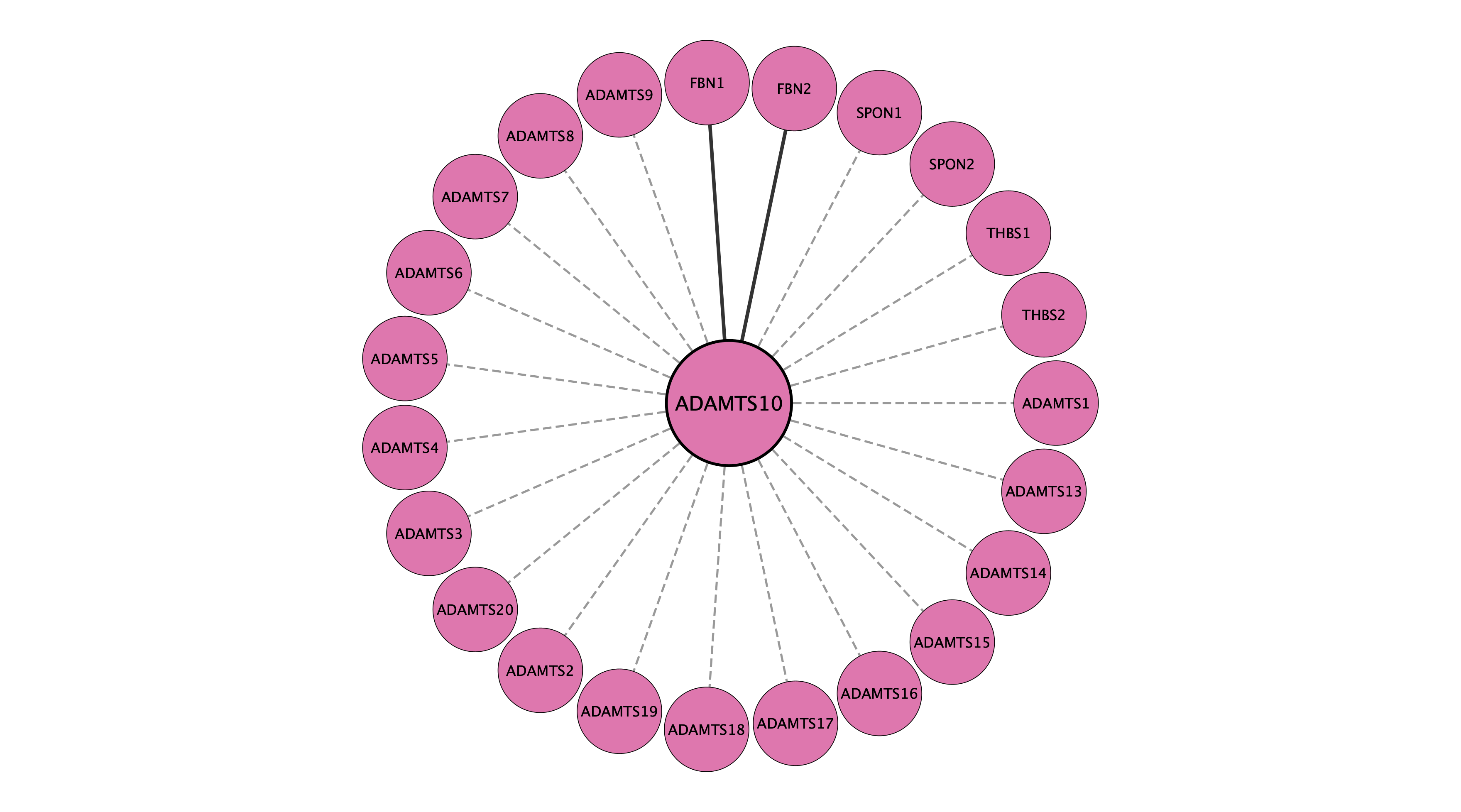 ADAMTS10 protein interaction network