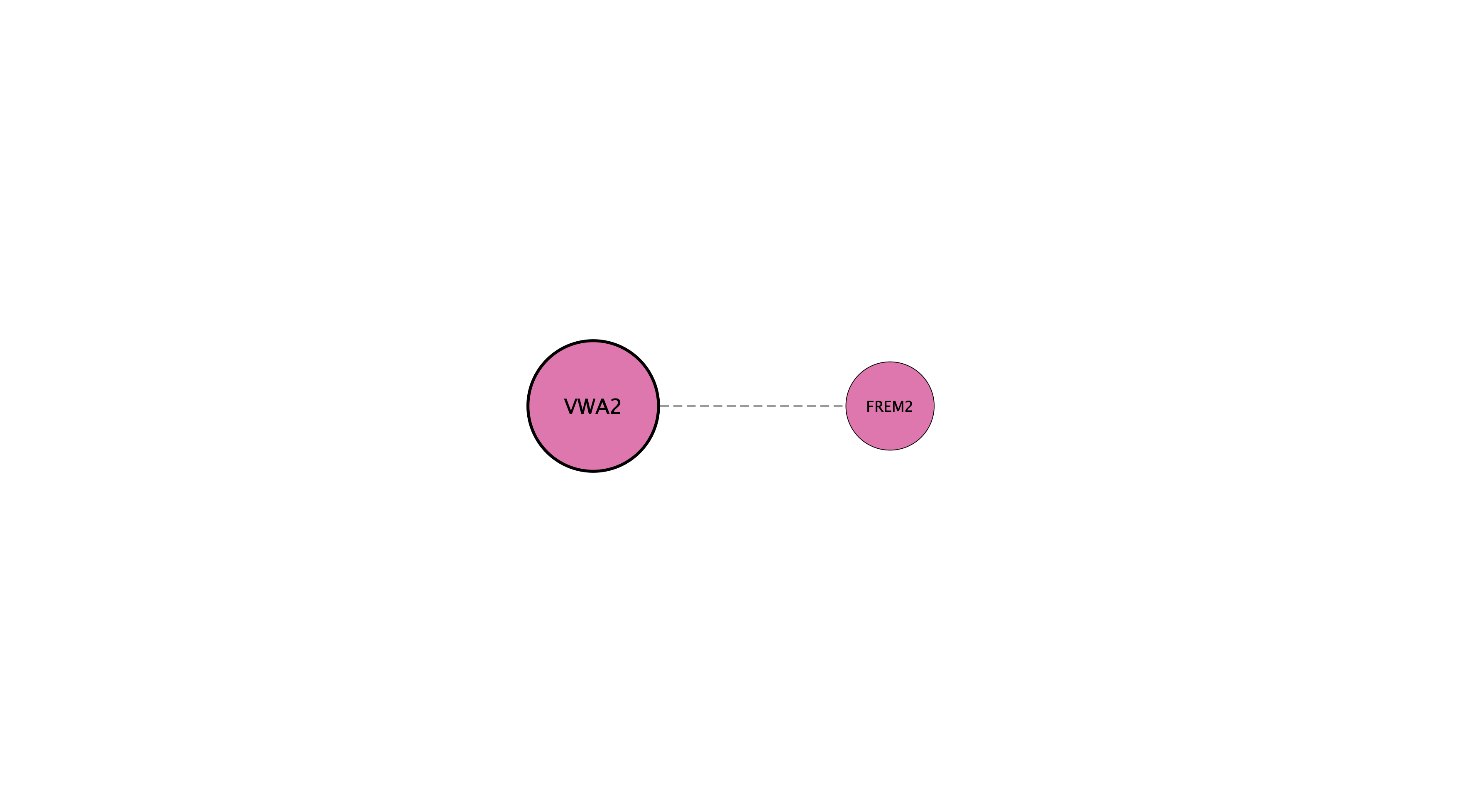 VWA2 protein interaction network