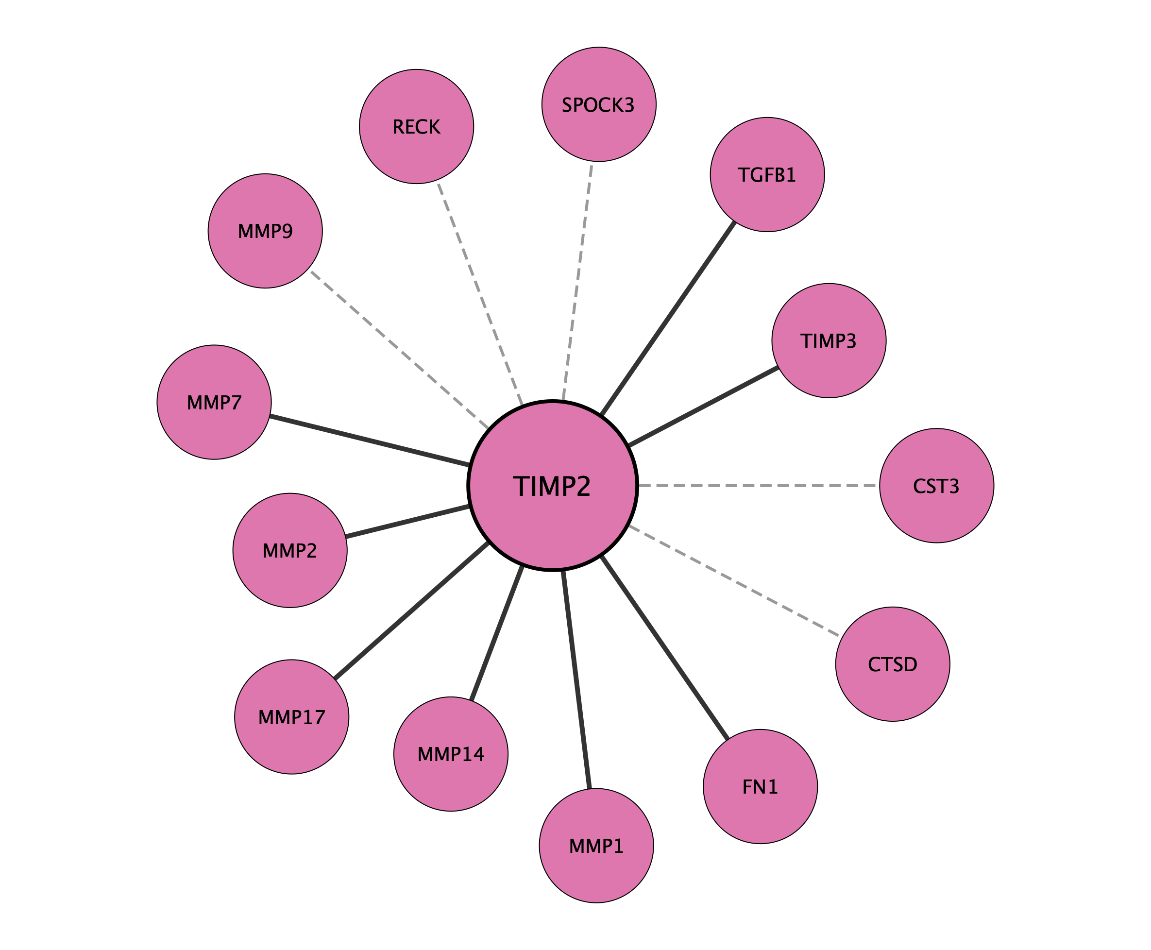 TIMP2 protein interaction network