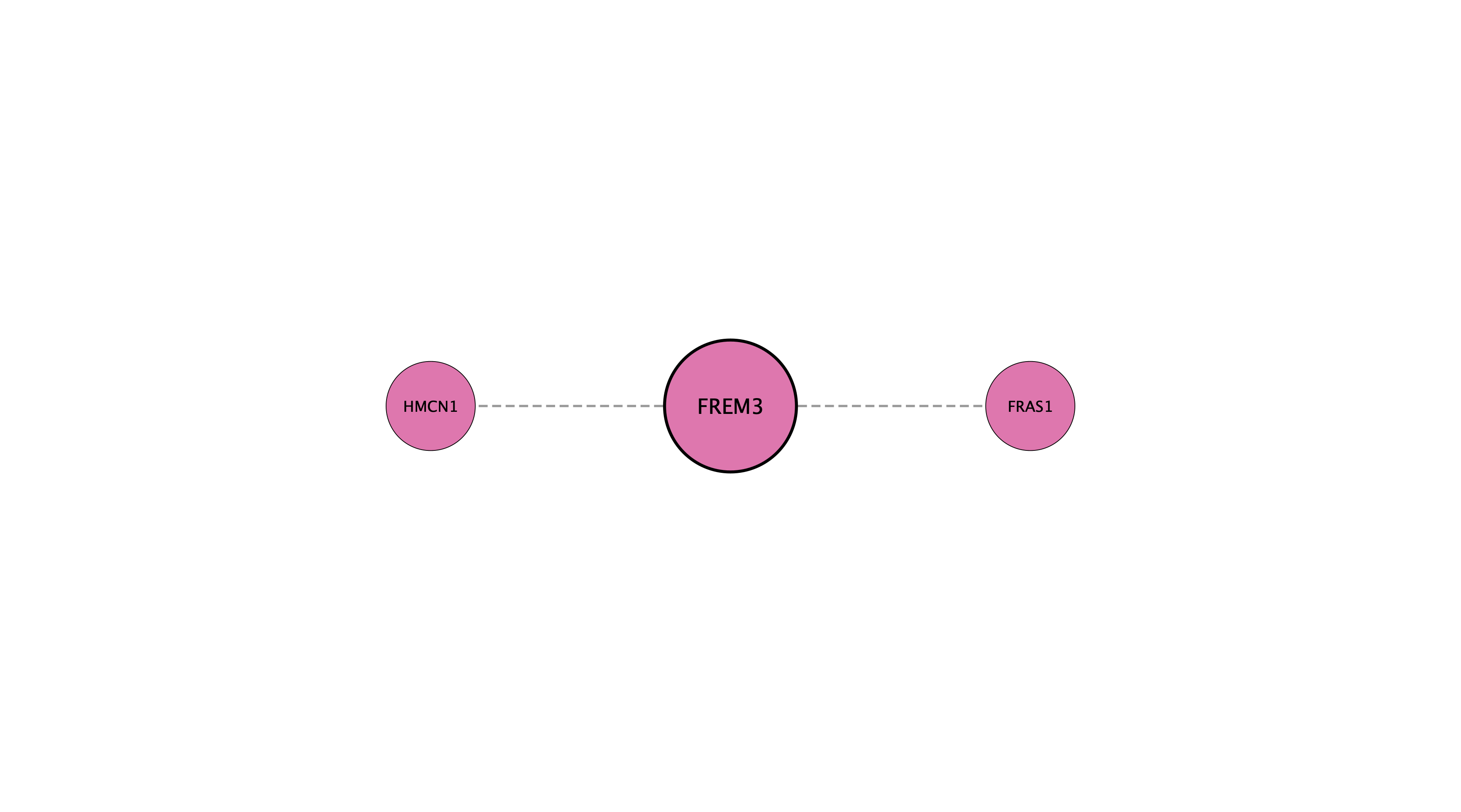 FREM3 protein interaction network