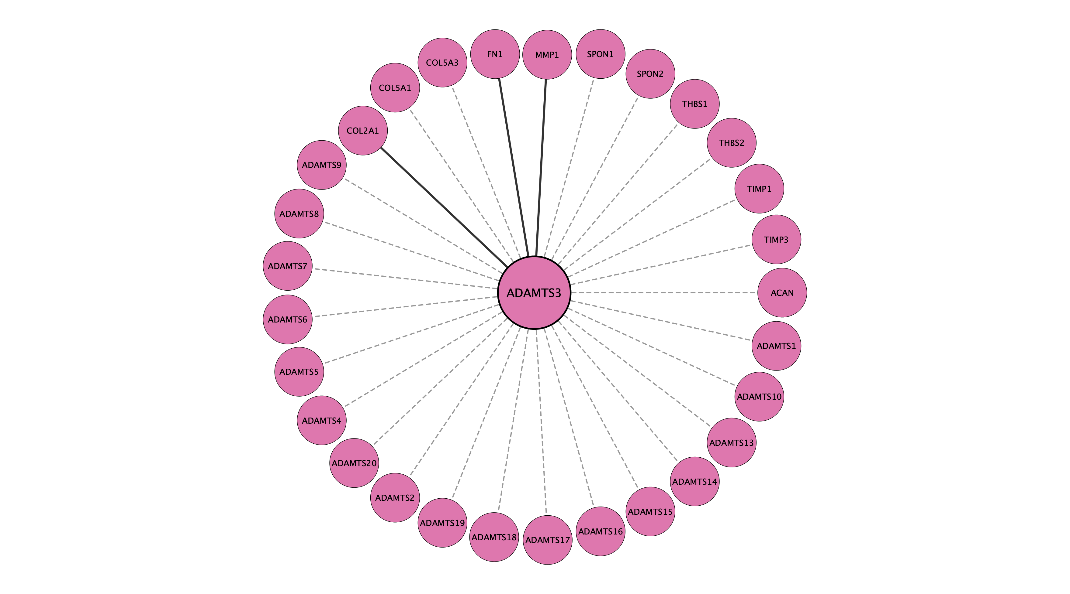 ADAMTS3 protein interaction network