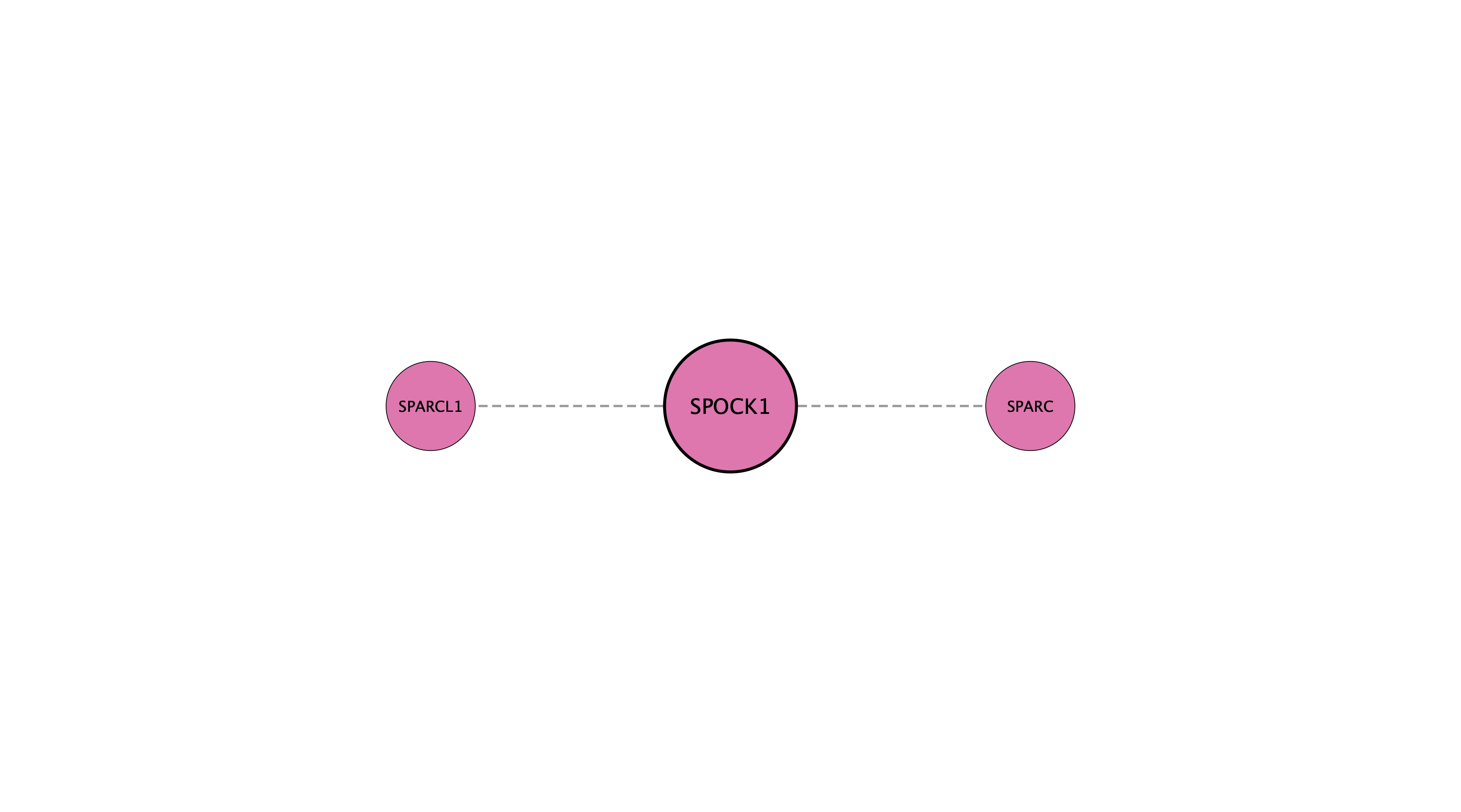 SPOCK1 protein interaction network