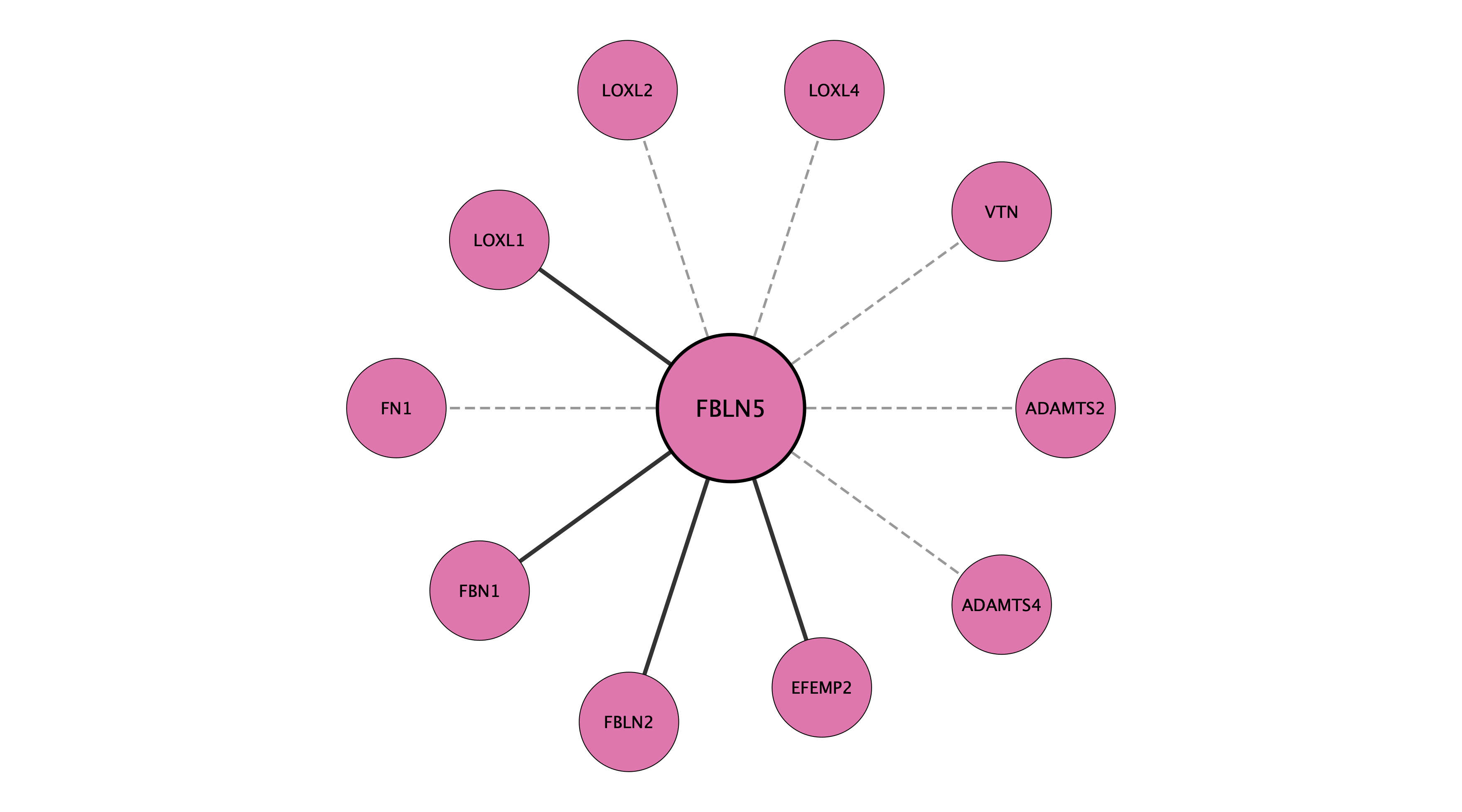 FBLN5 protein interaction network
