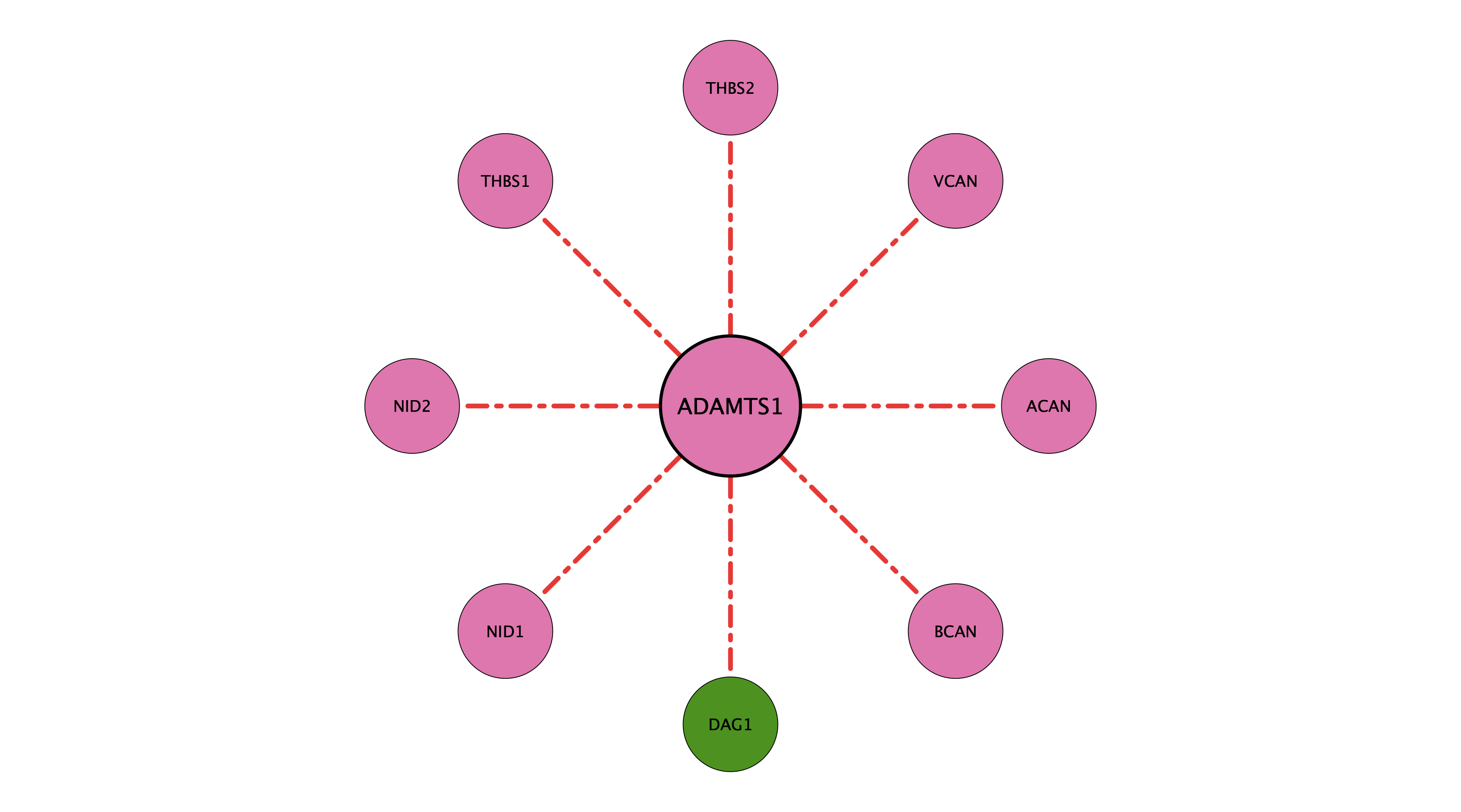 ADAMTS1 protein-substrate network (cleavage)