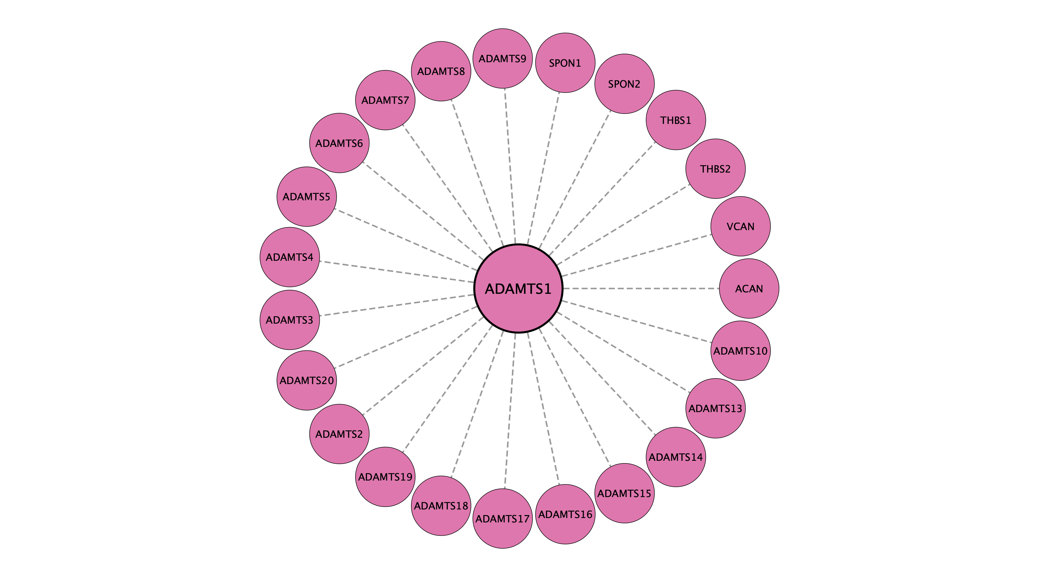 ADAMTS1 protein interaction network