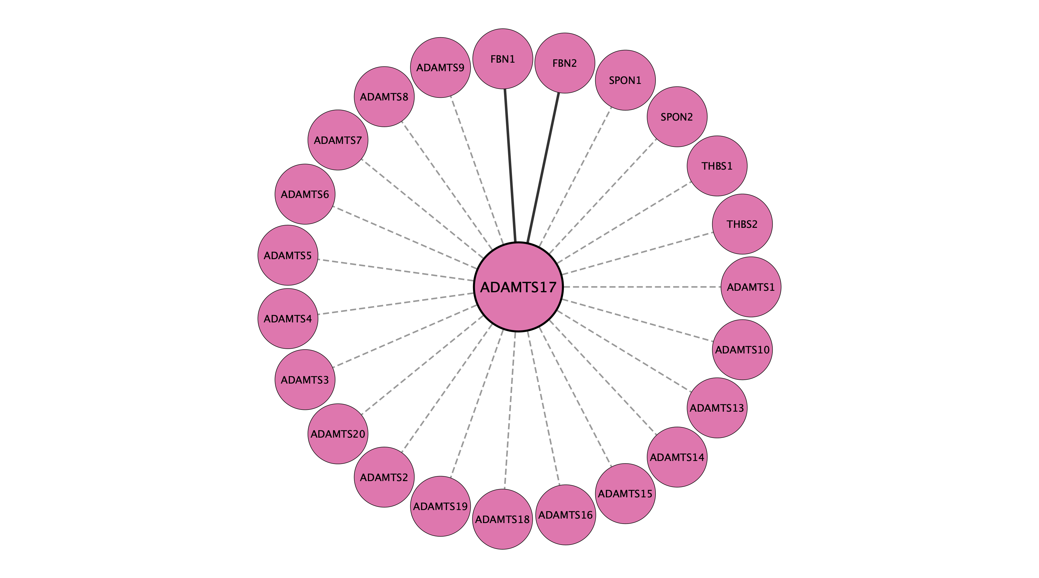 ADAMTS17 protein interaction network