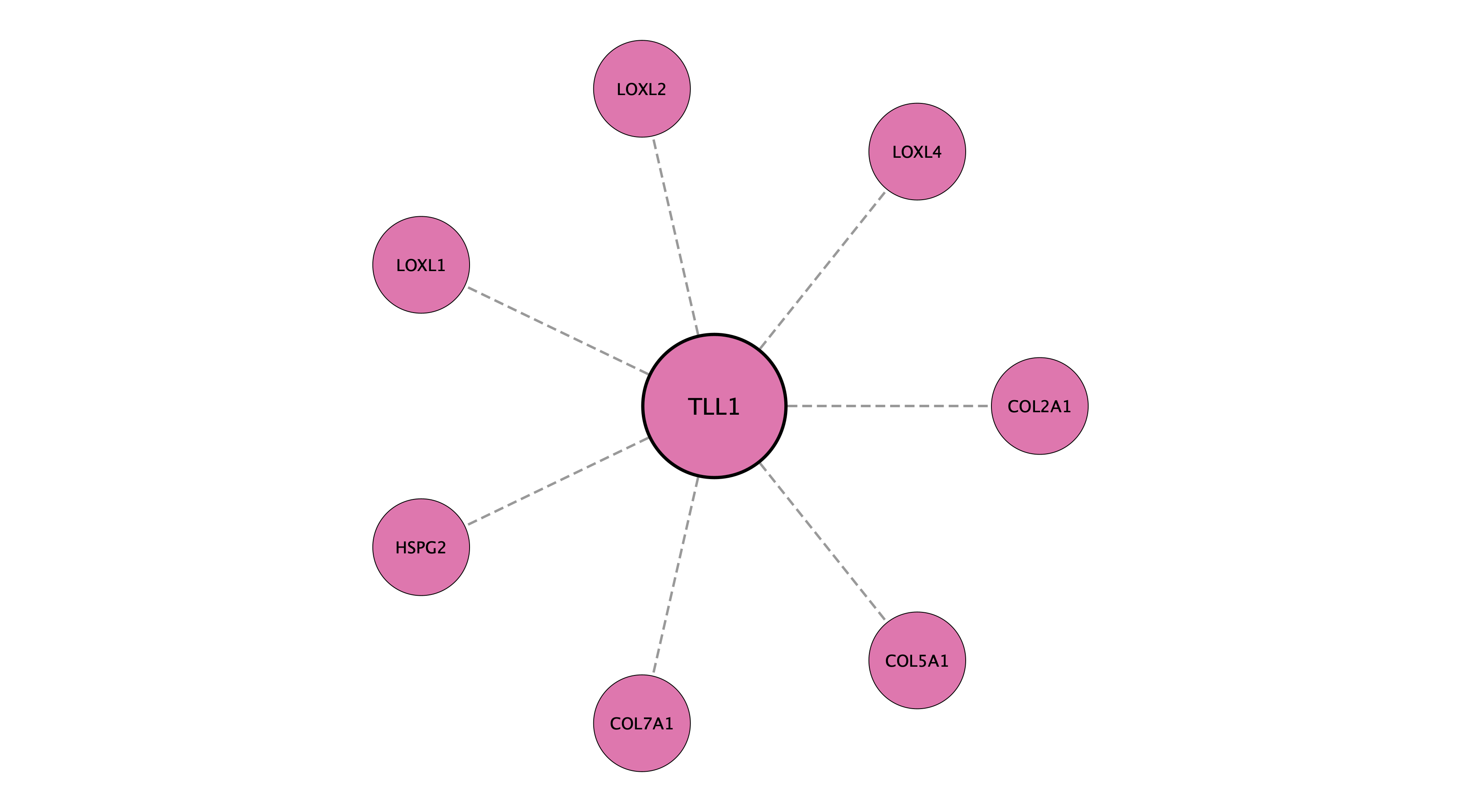 TLL1 protein interaction network