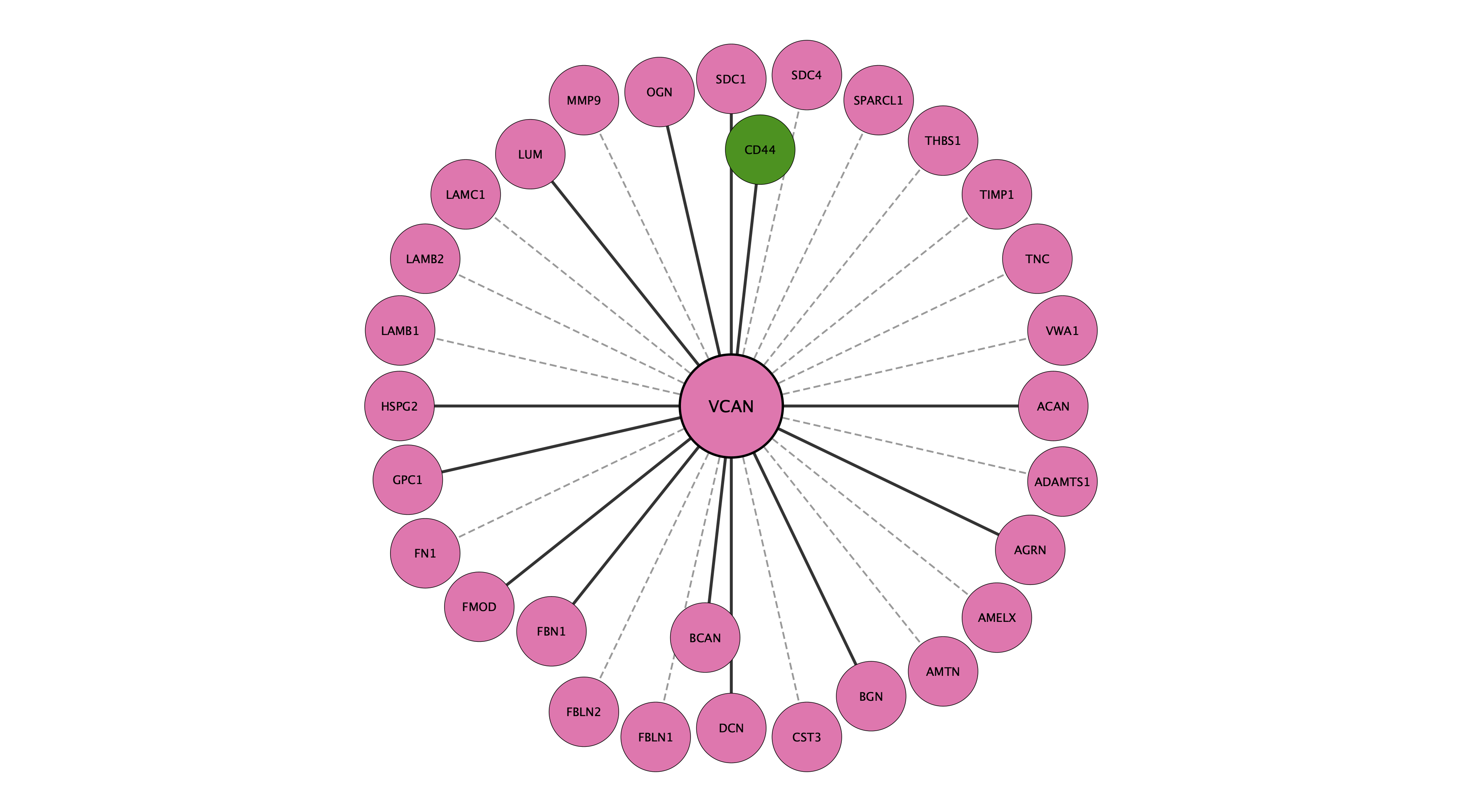 VCAN protein interaction network