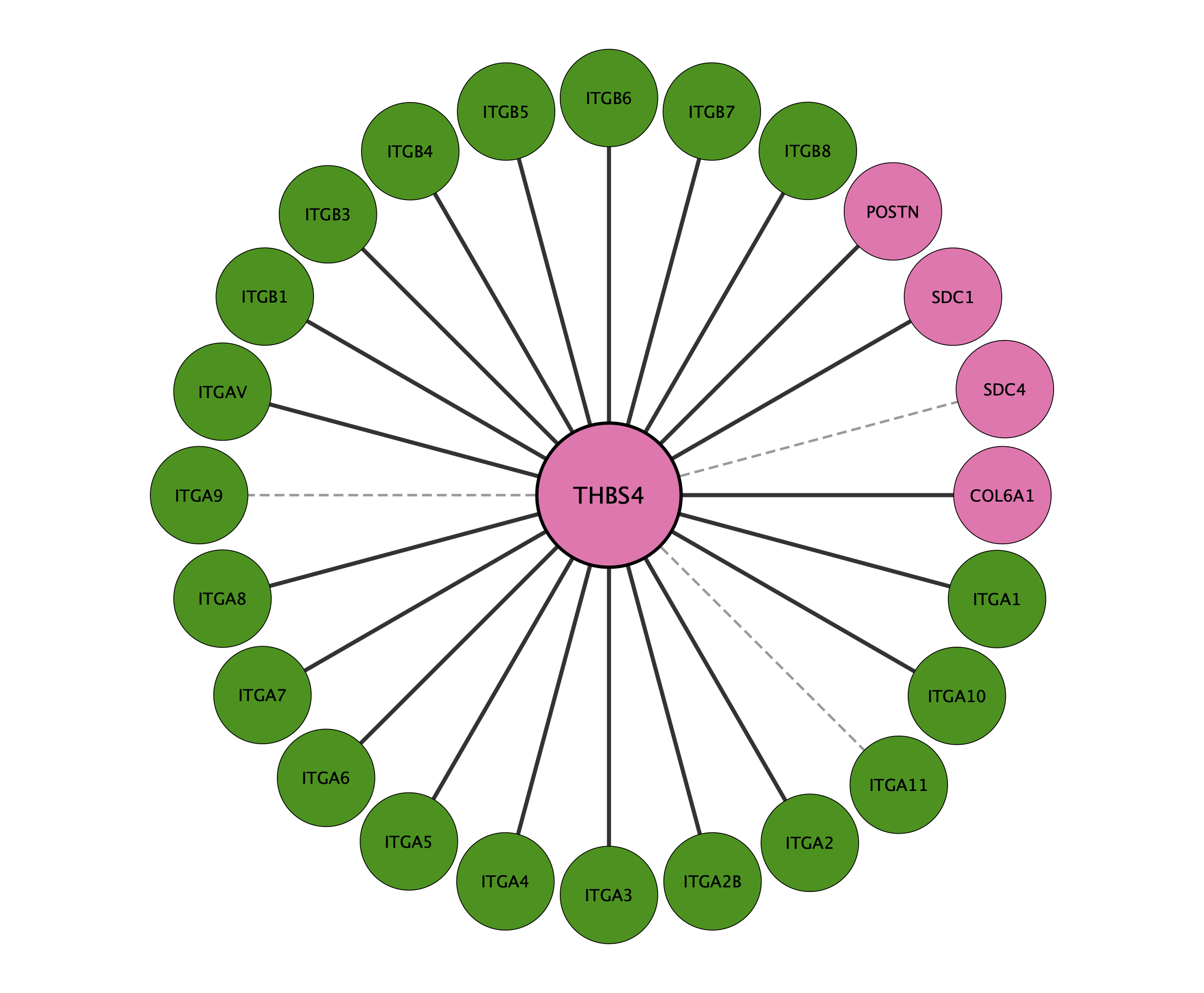 THBS4 protein interaction network