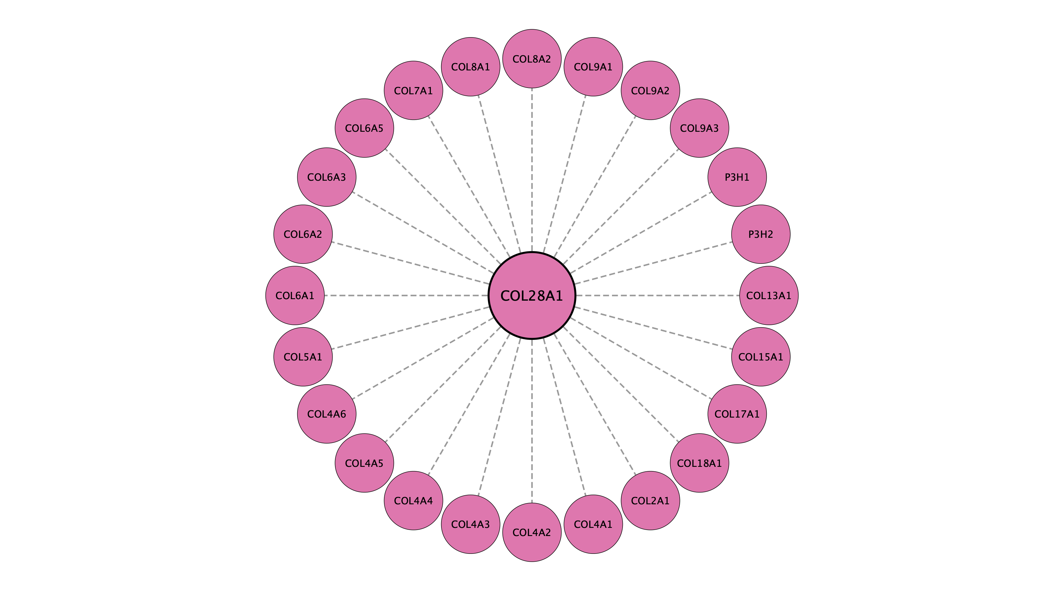 COL28A1 protein interaction network