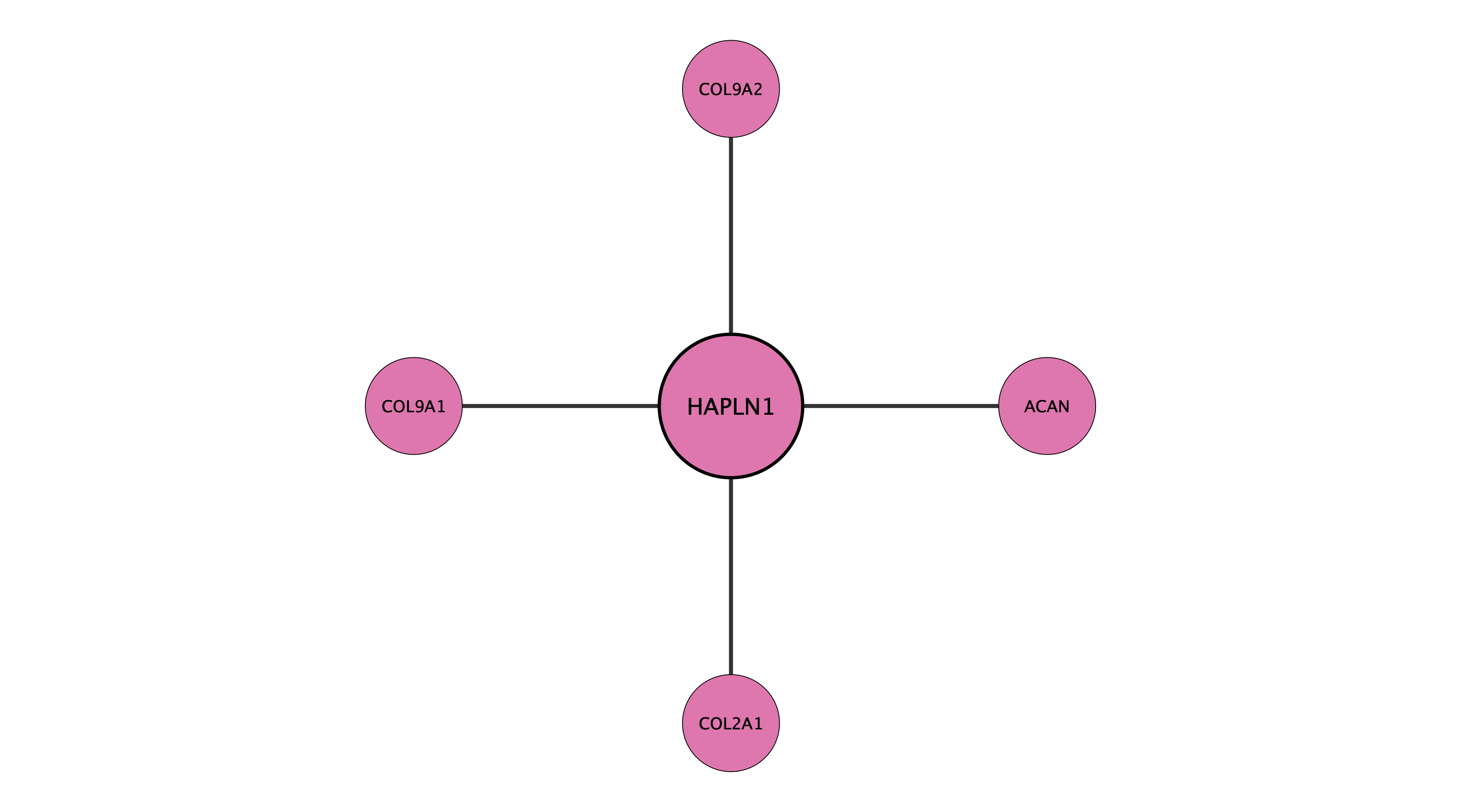HAPLN1 protein interaction network
