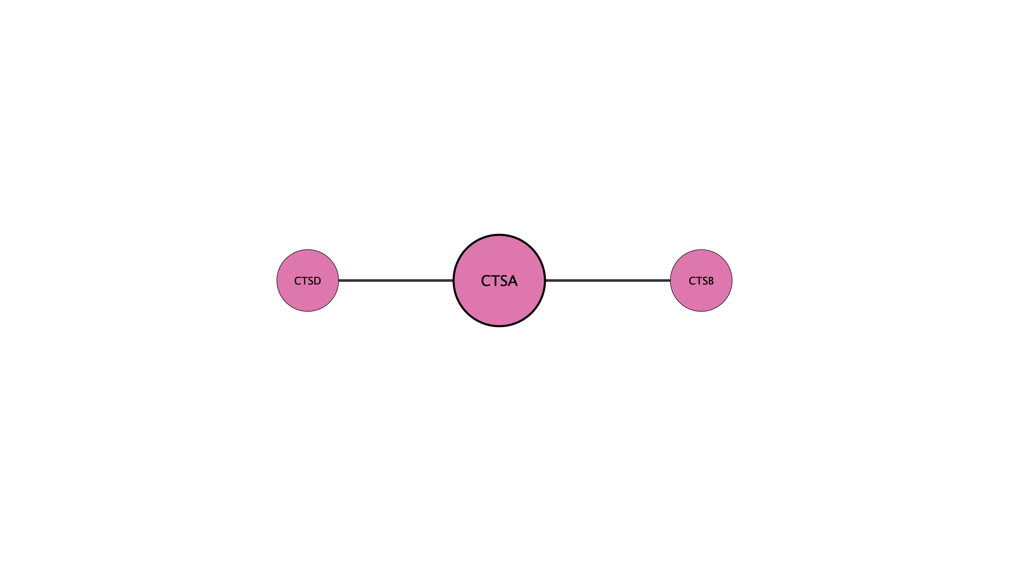 CTSA protein interaction network