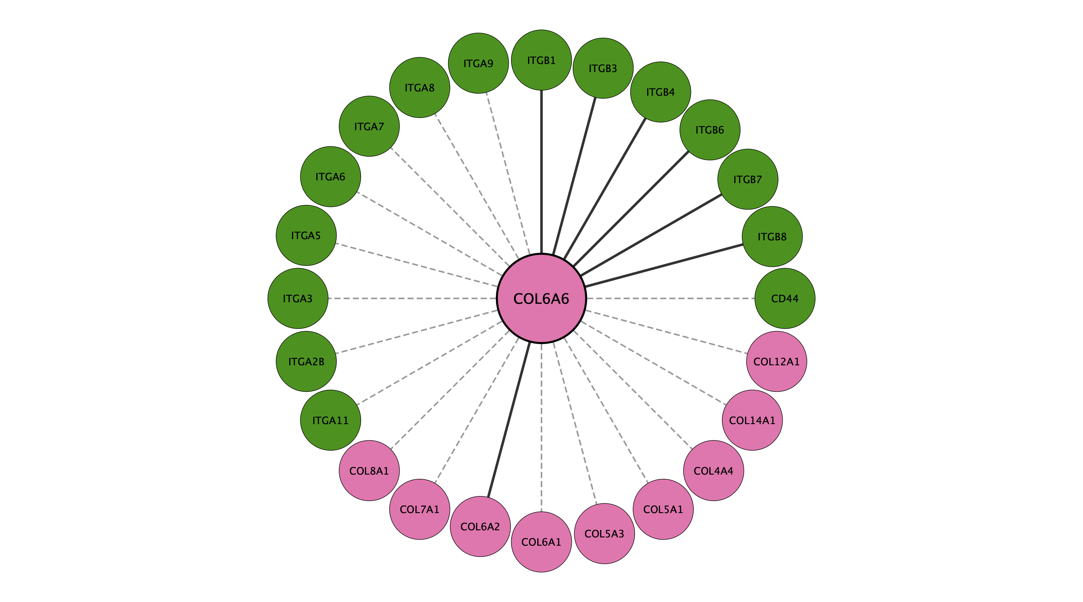 COL6A6 protein interaction network
