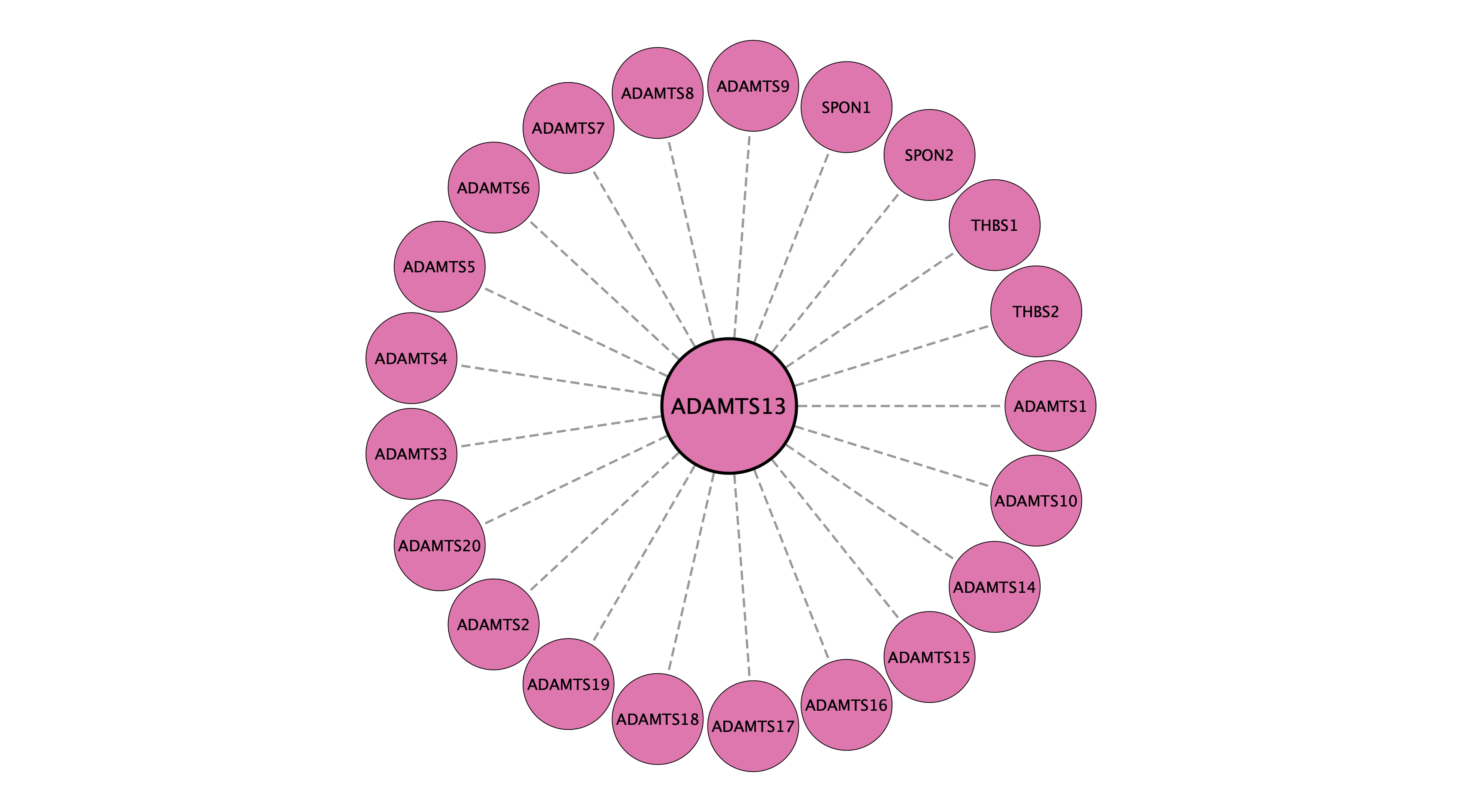 ADAMTS13 protein interaction network