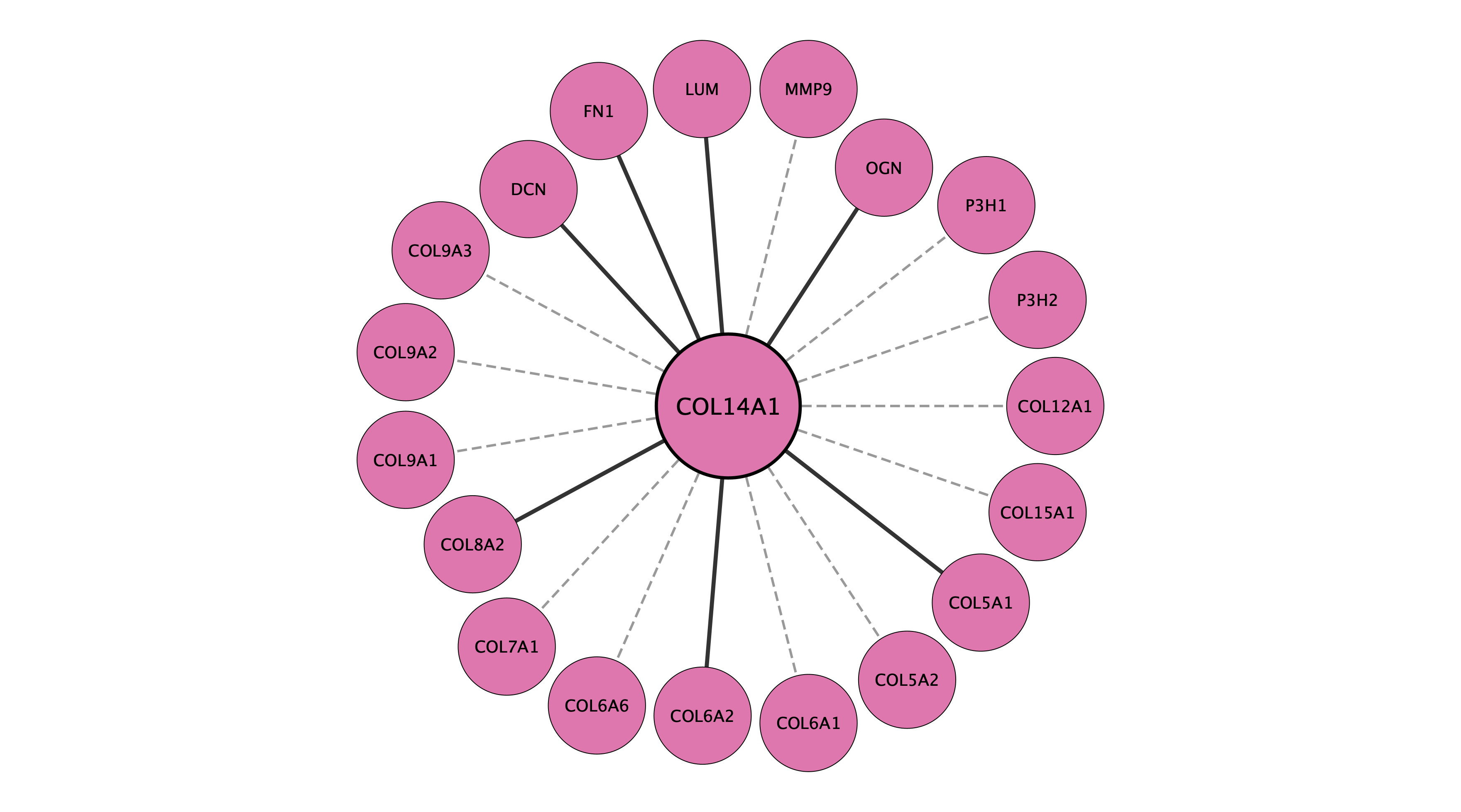COL14A1 protein interaction network