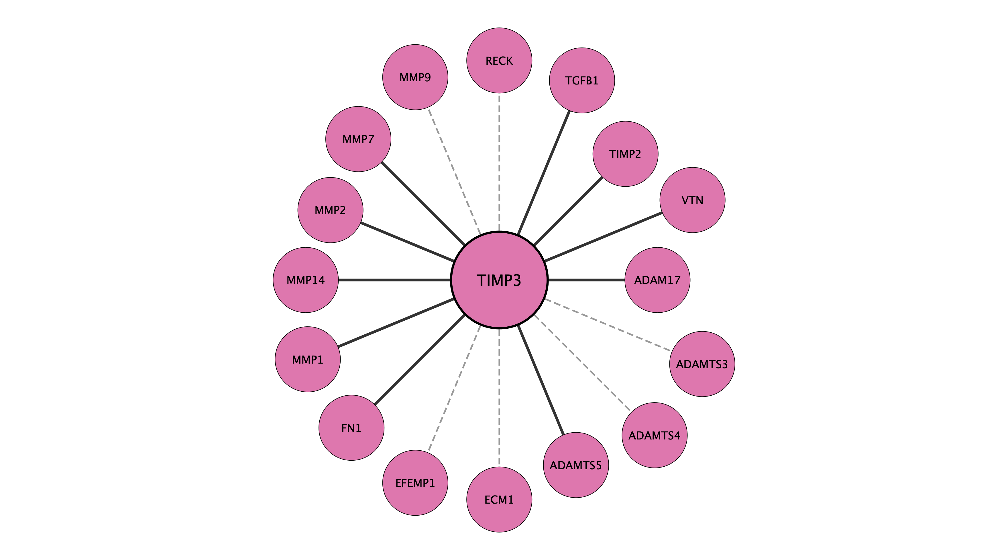 TIMP3 protein interaction network