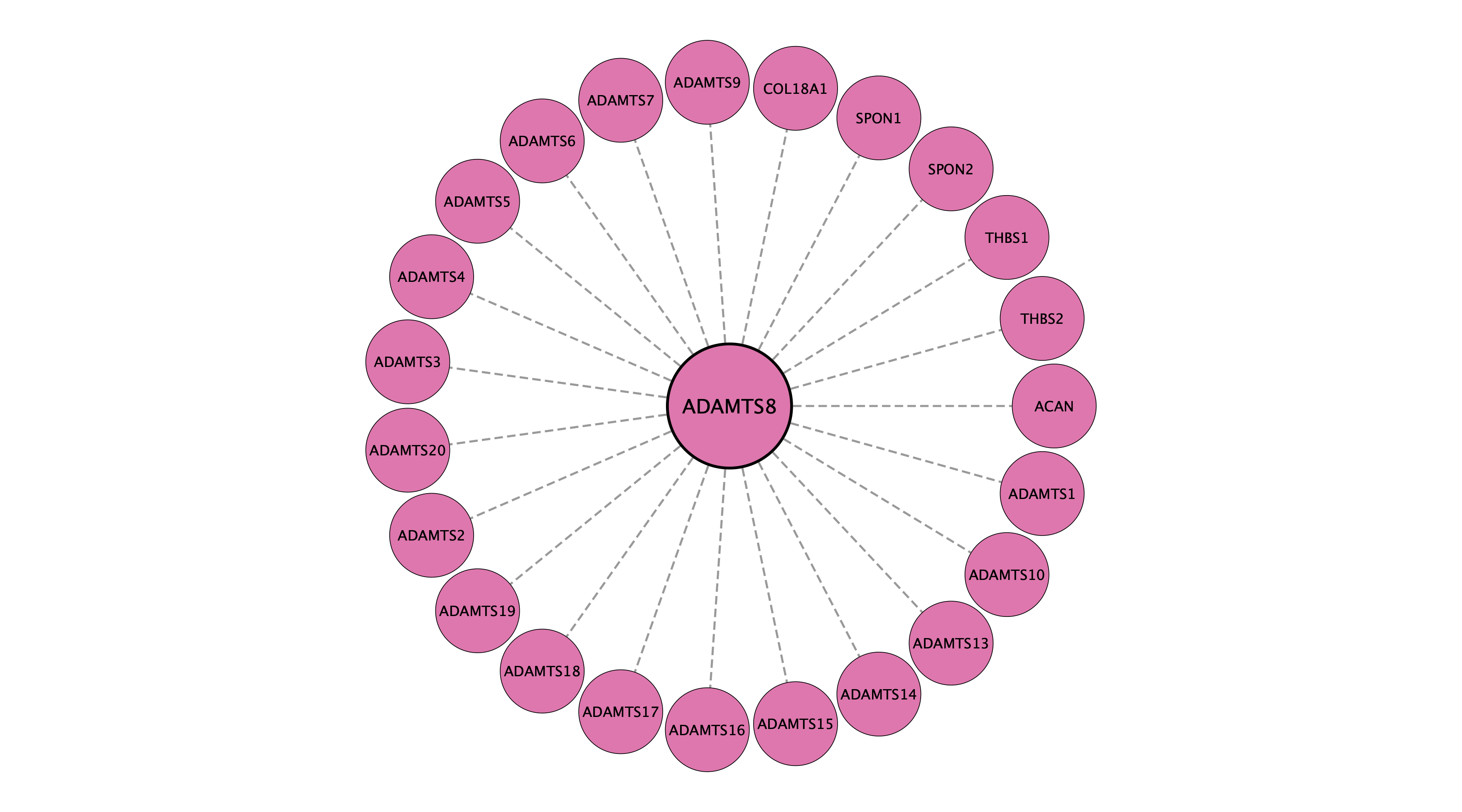 ADAMTS8 protein interaction network