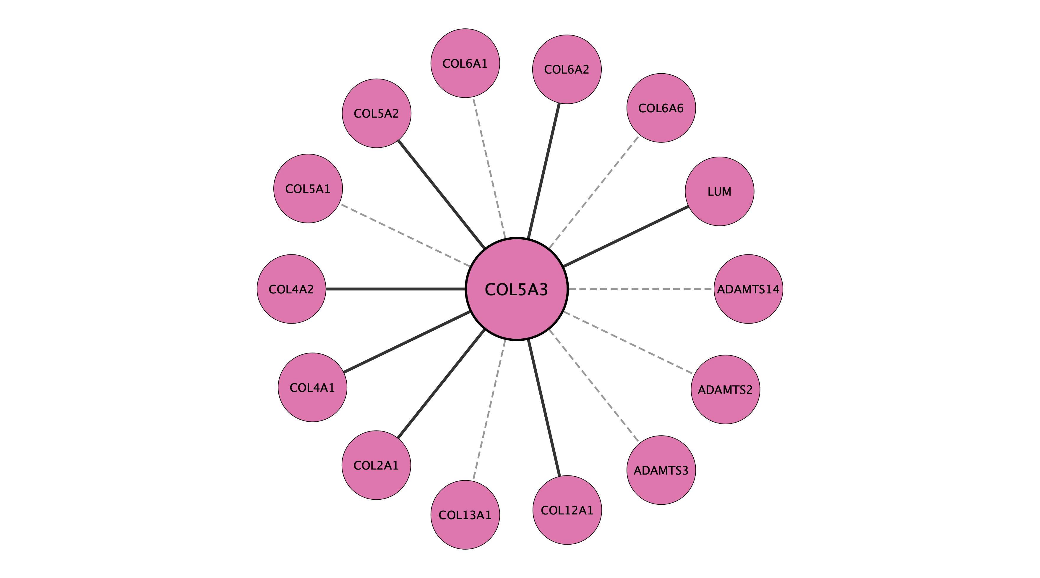 COL5A3 protein interaction network
