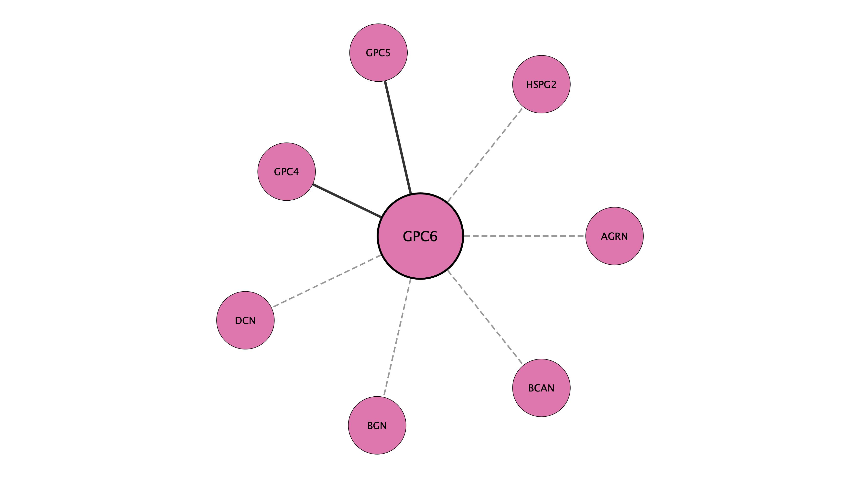 GPC6 protein interaction network