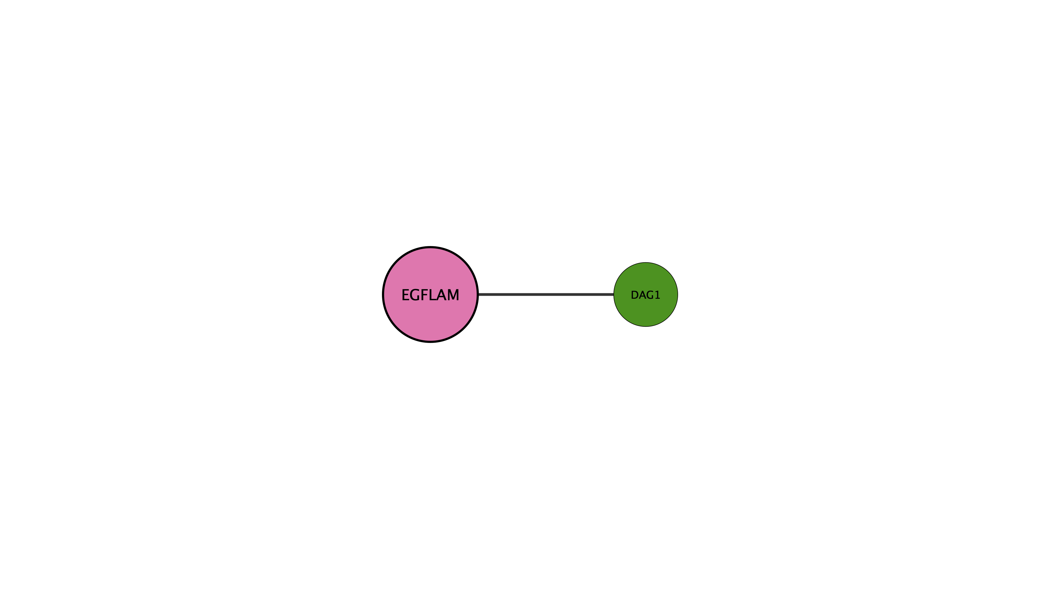 EGFLAM protein interaction network