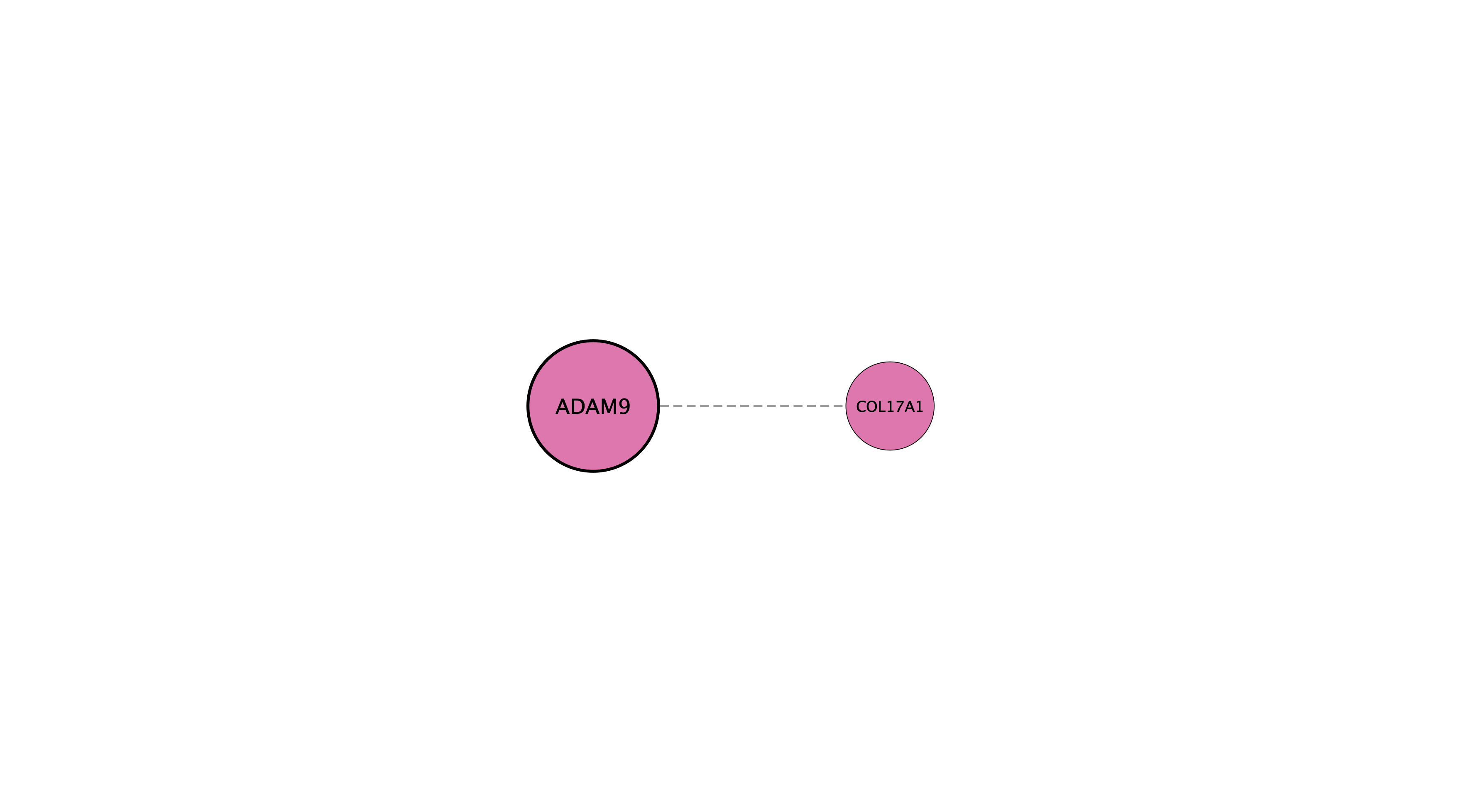 ADAM9 protein interaction network