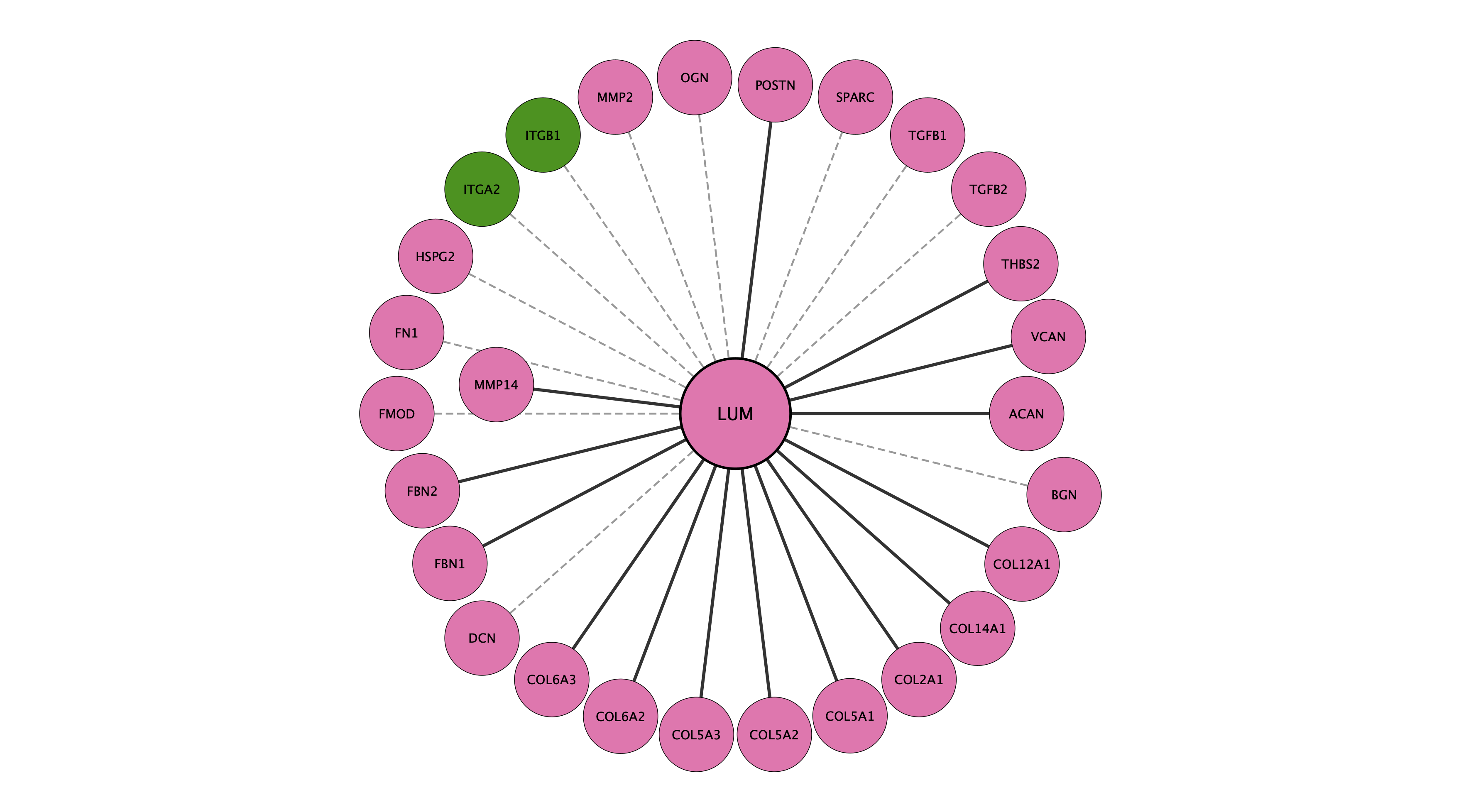 LUM protein interaction network