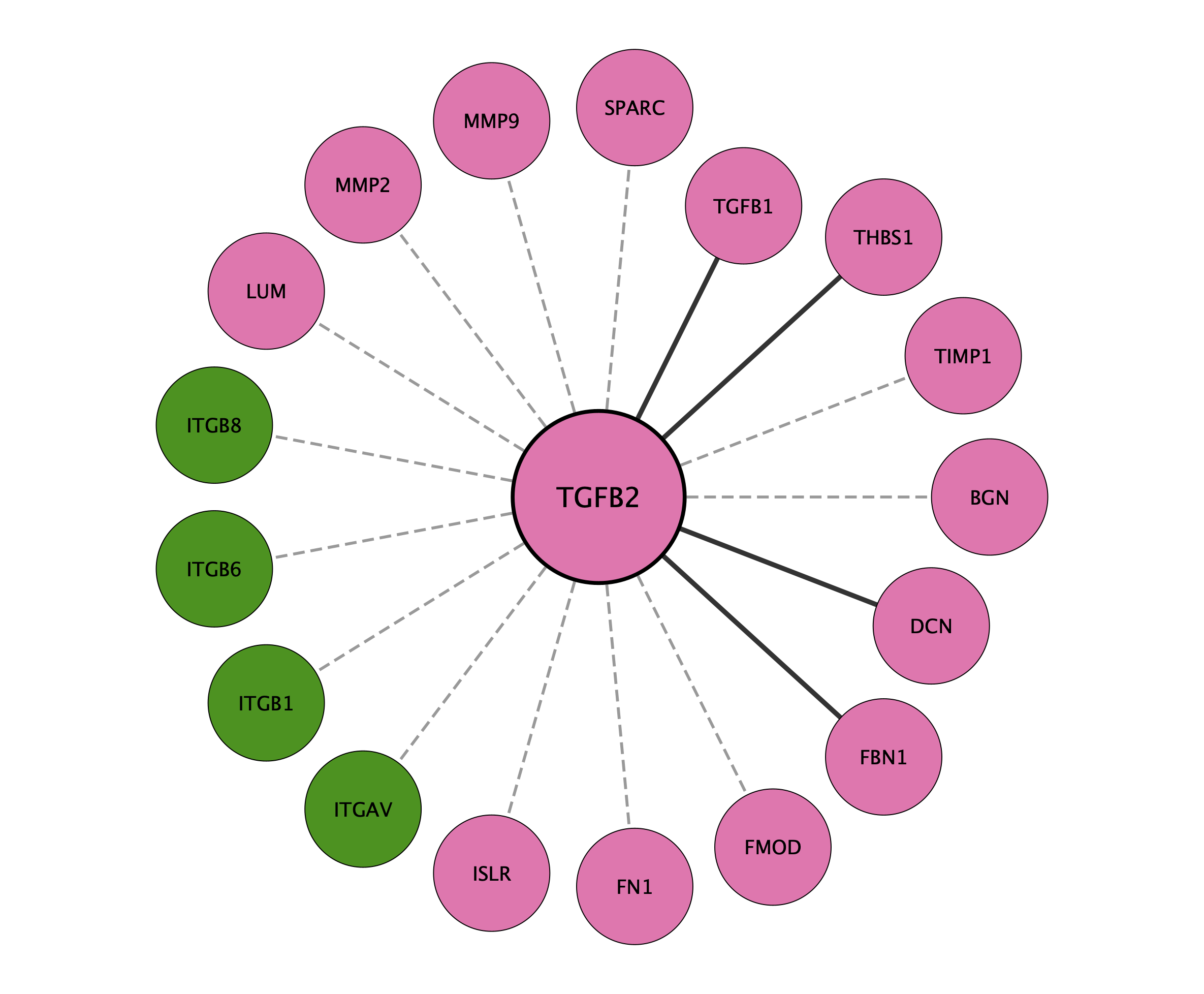 TGFB2 protein interaction network