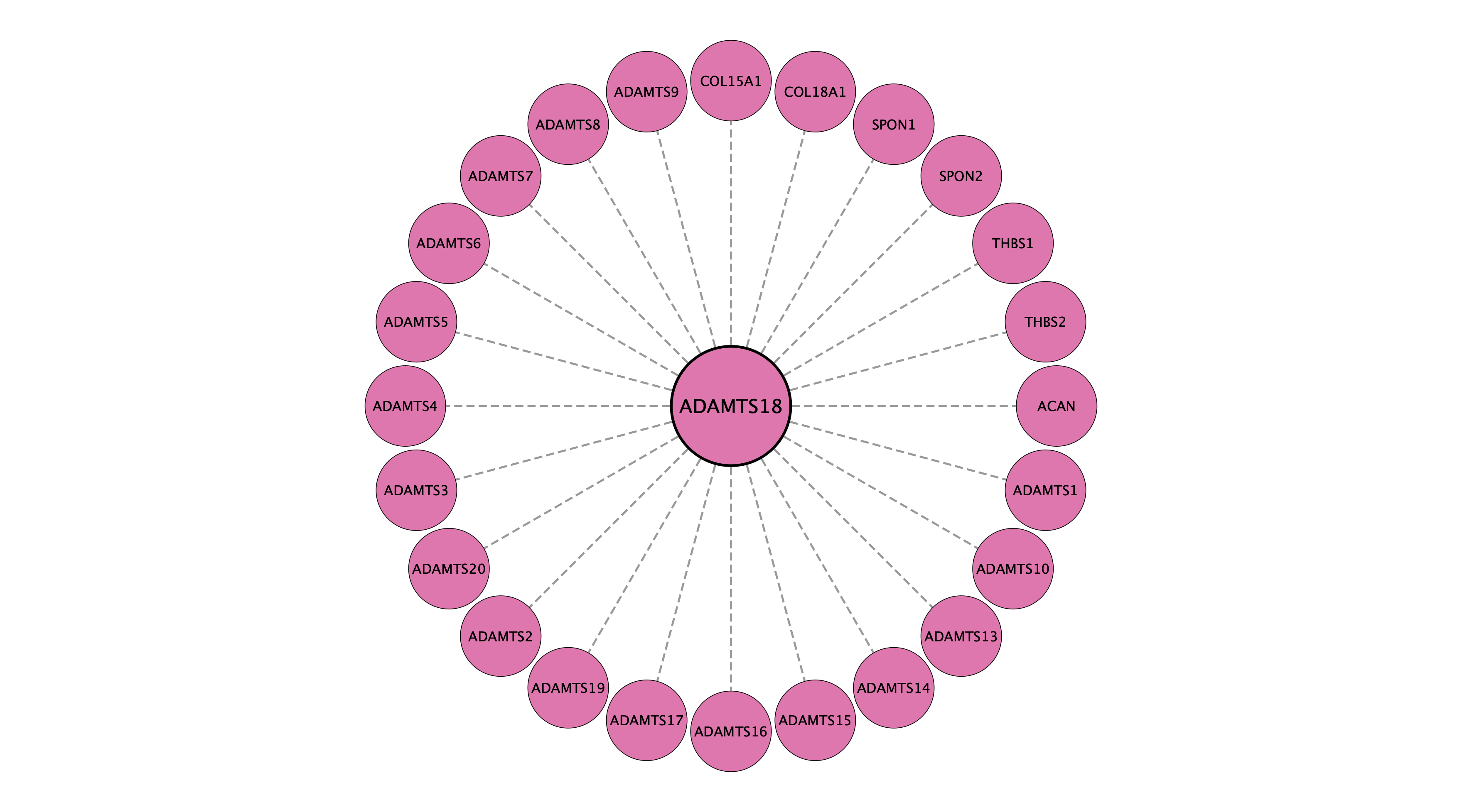 ADAMTS18 protein interaction network