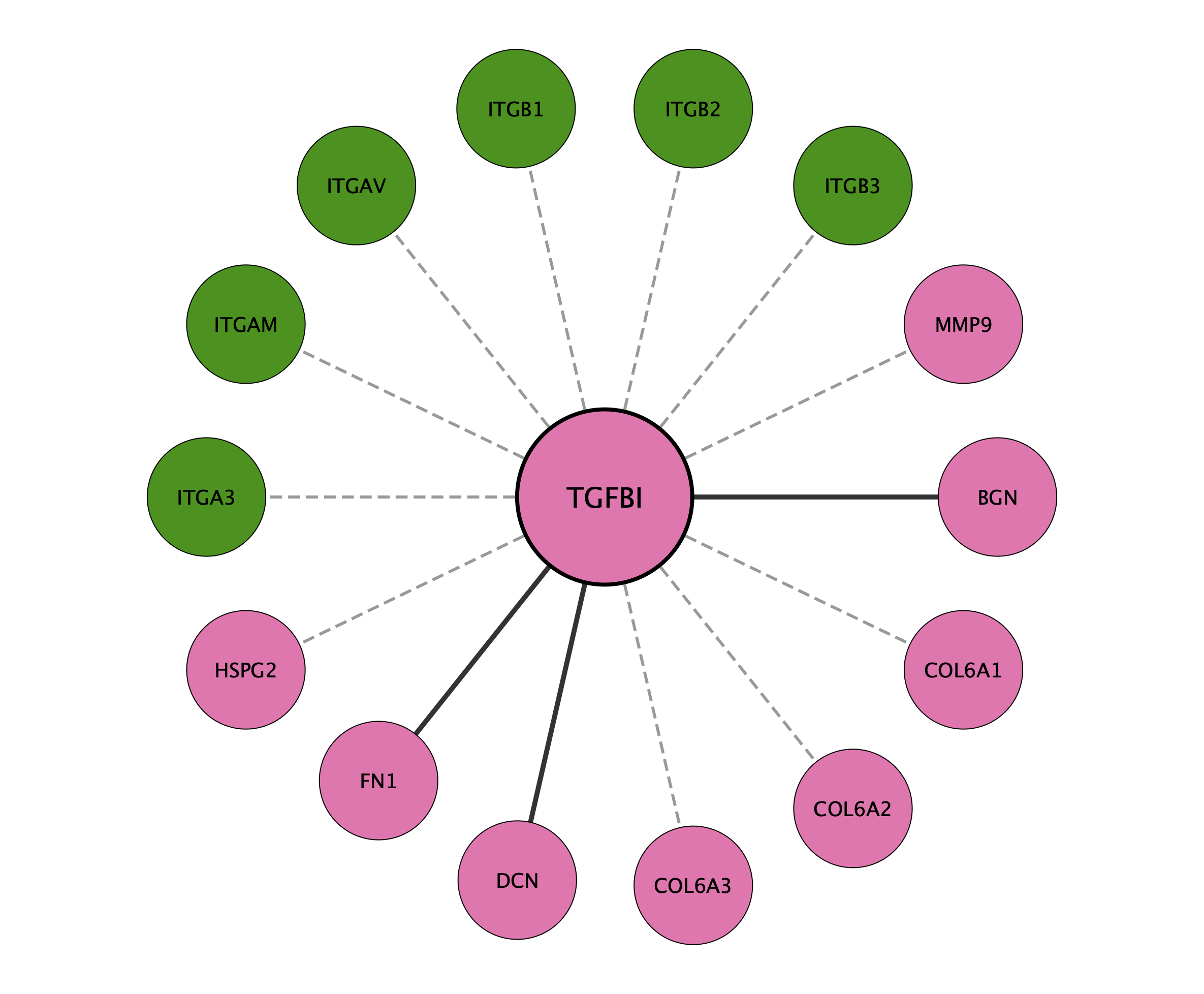 TGFBI protein interaction network