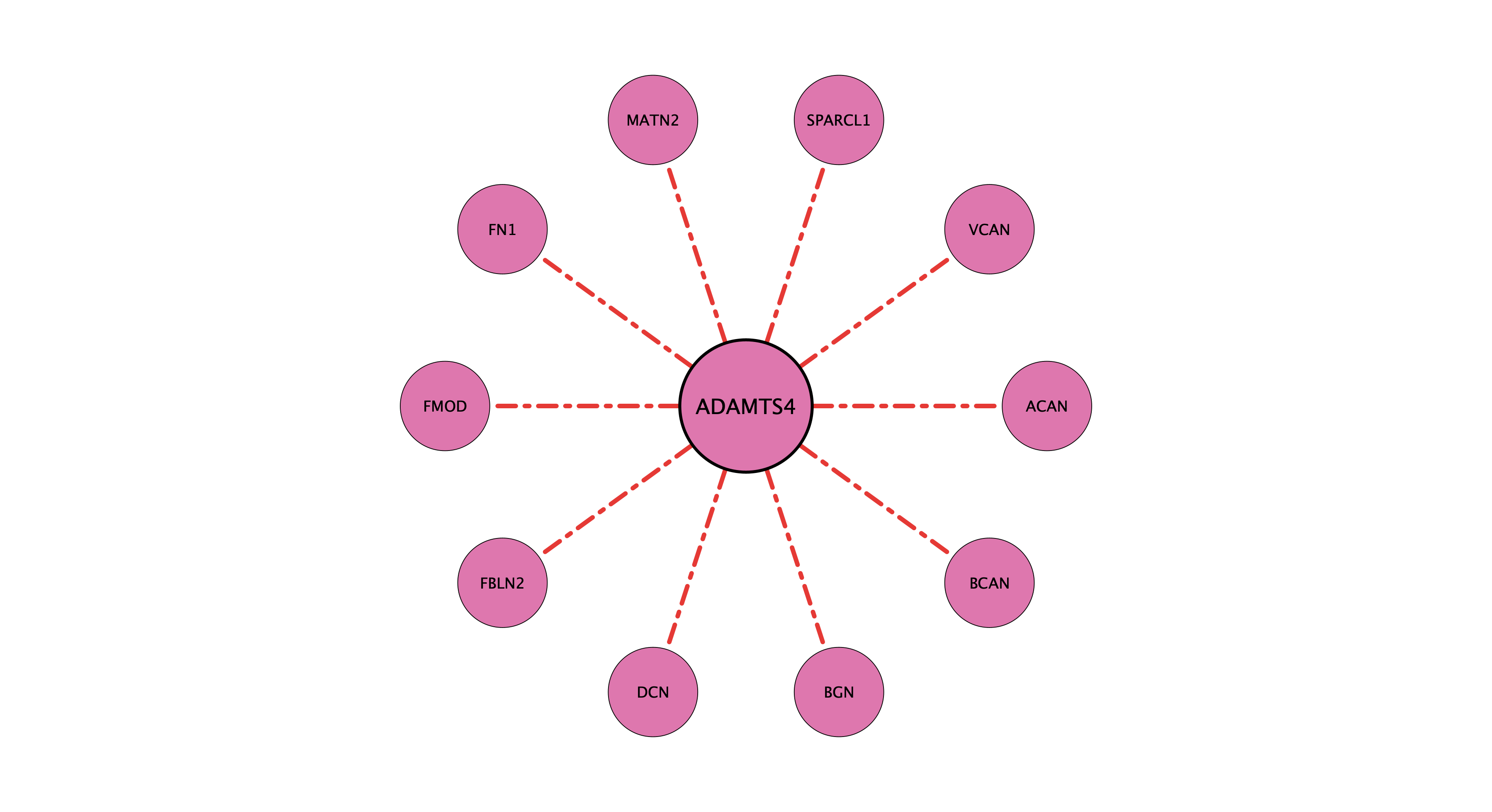 ADAMTS4 protein-substrate network (cleavage)