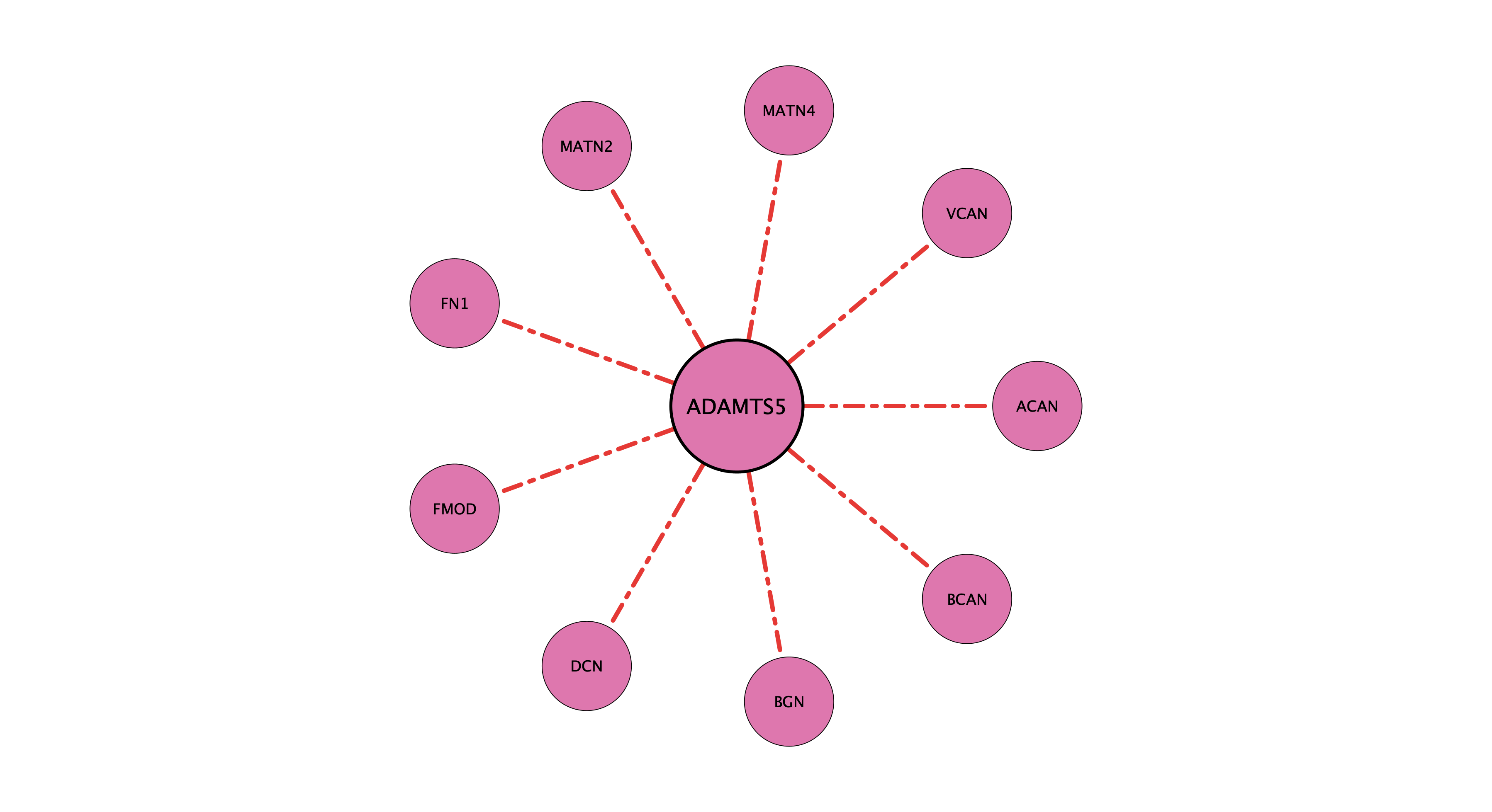 ADAMTS5 protein-substrate network (cleavage)