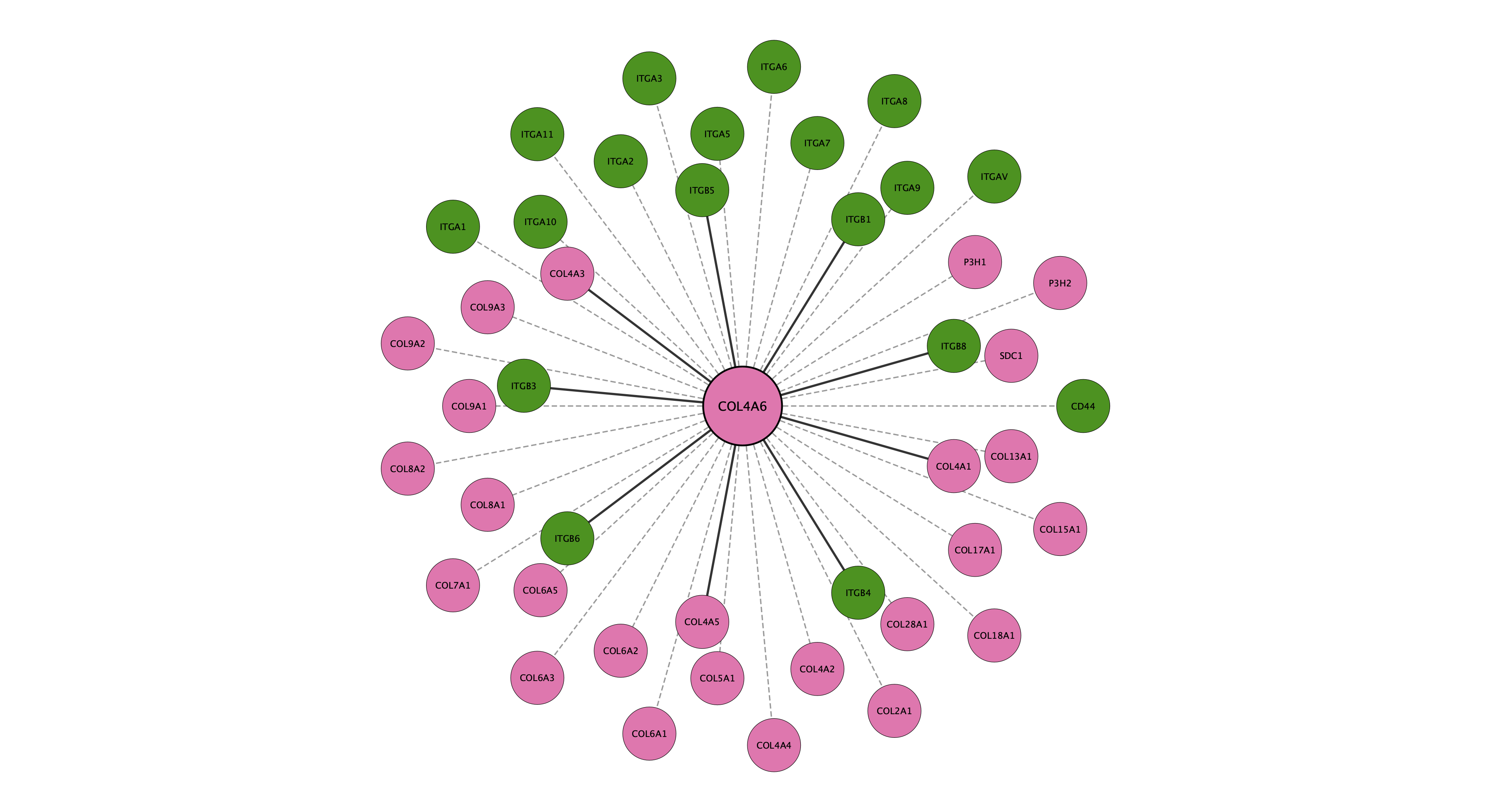 COL4A6 protein interaction network