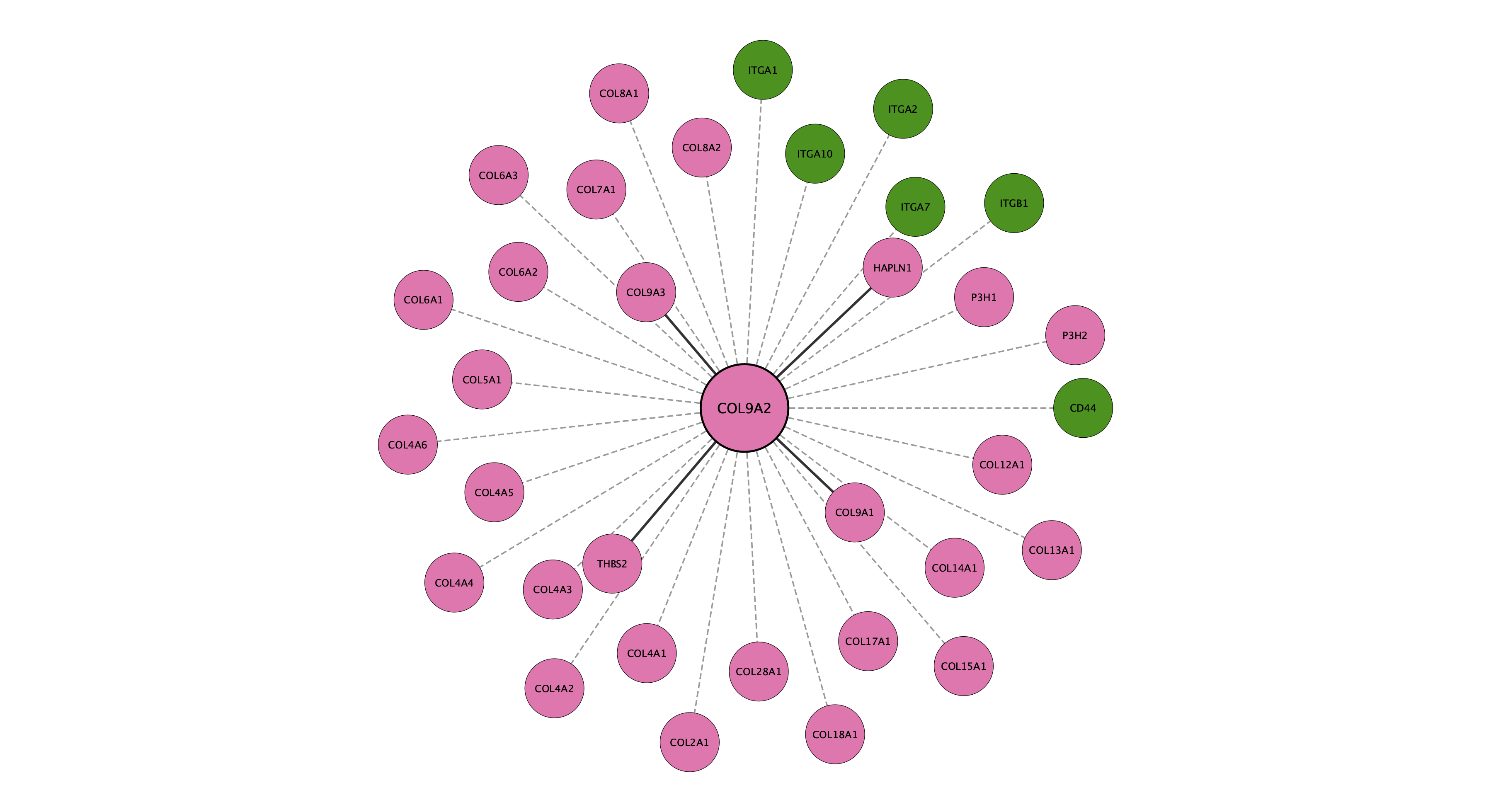 COL9A2 protein interaction network