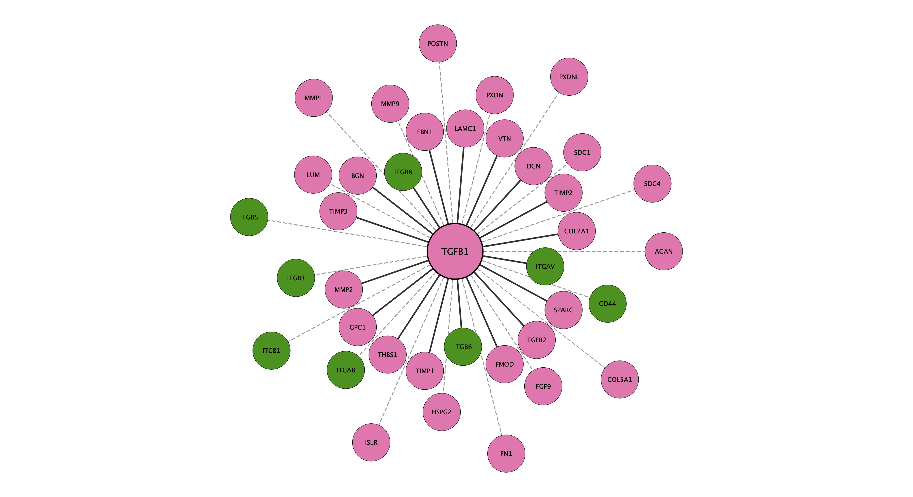 TGFB1 protein interaction network