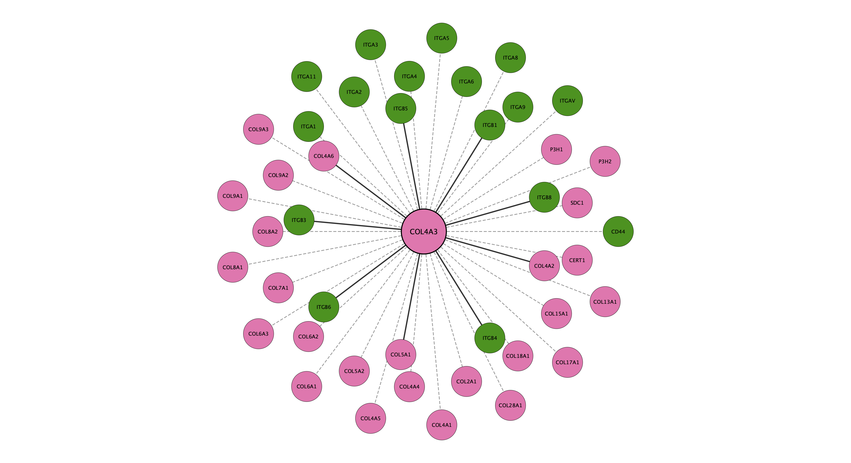 COL4A3 protein interaction network