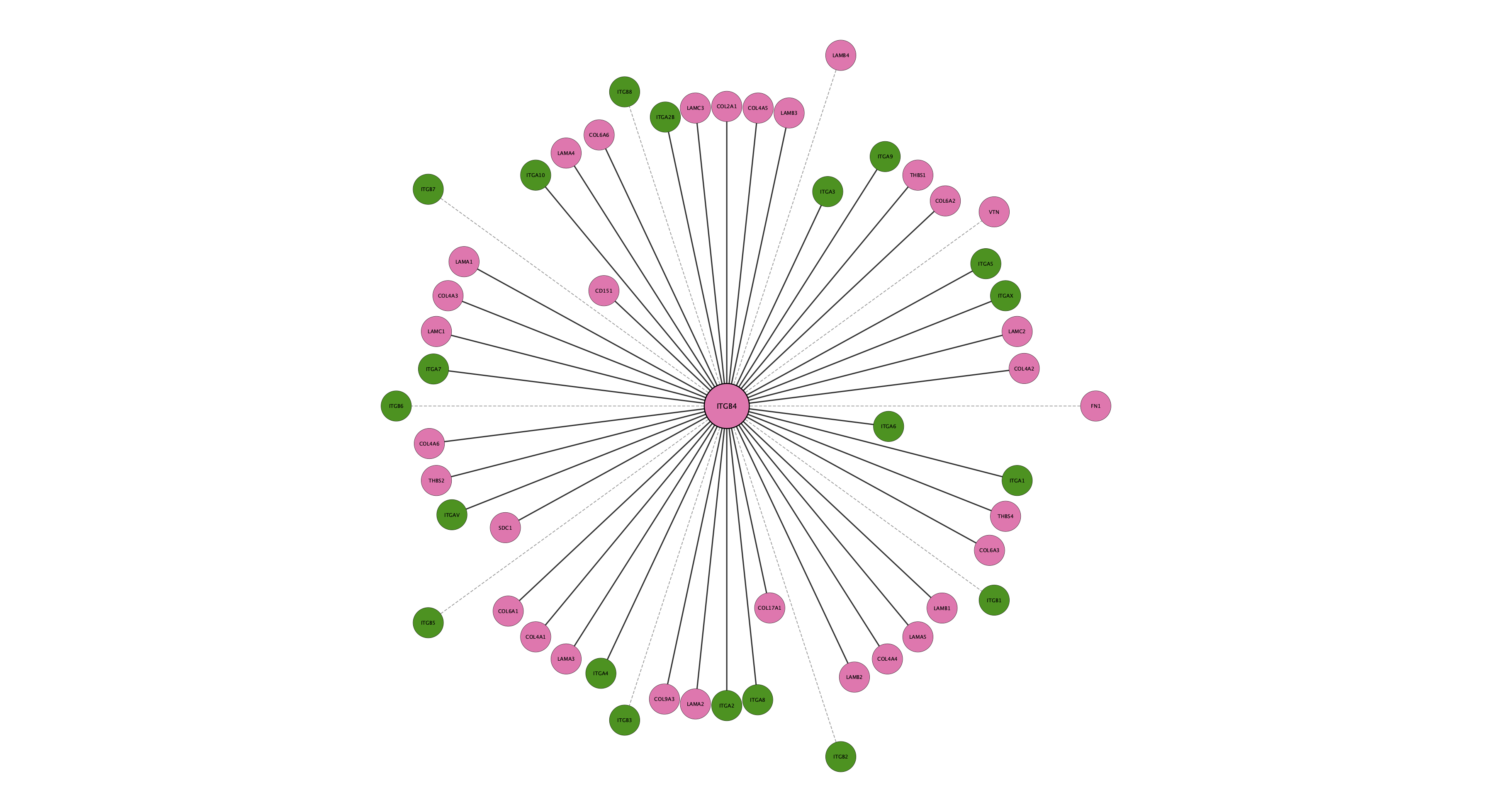 ITGB4 protein interaction network