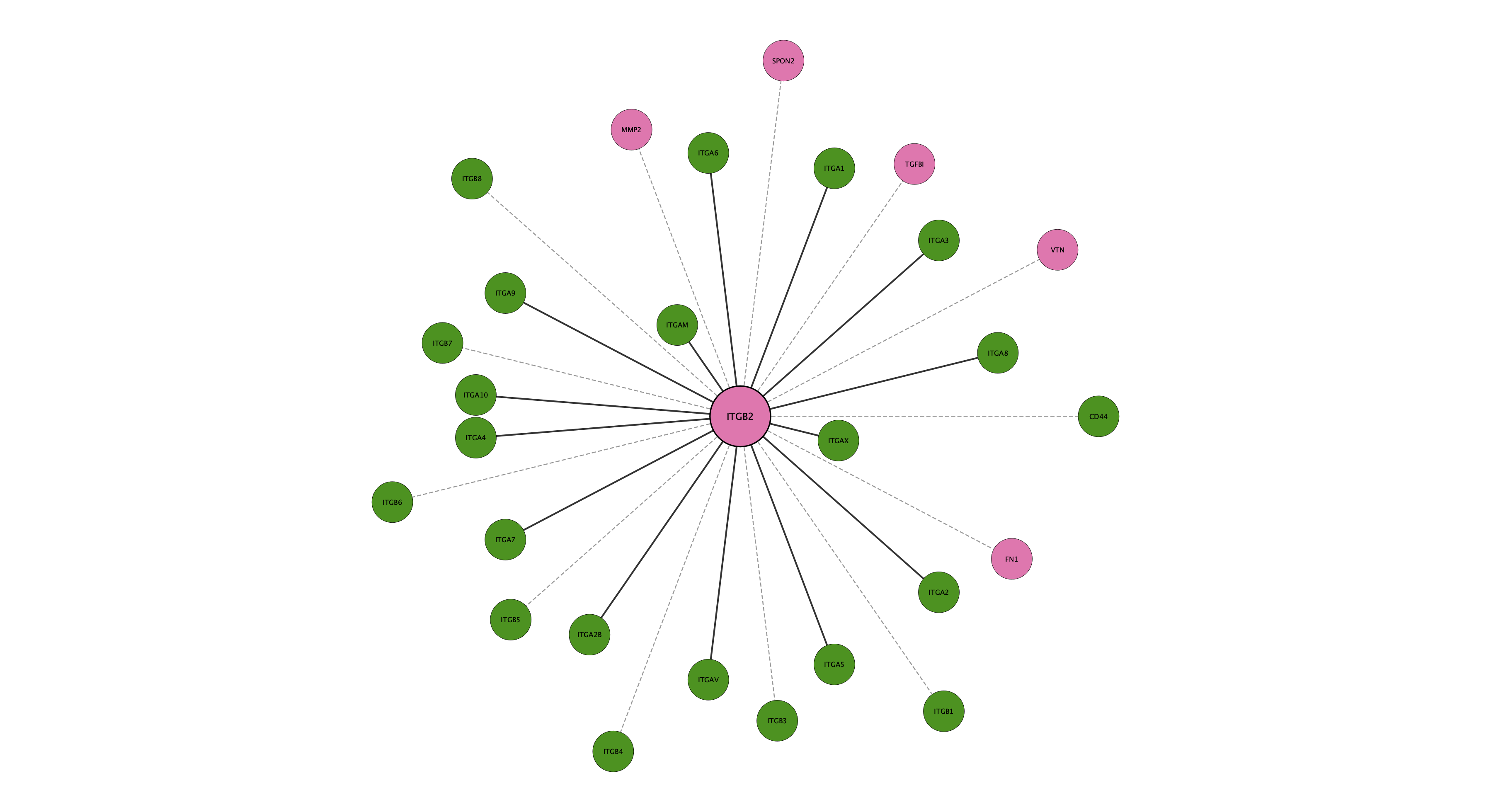 ITGB2 protein interaction network