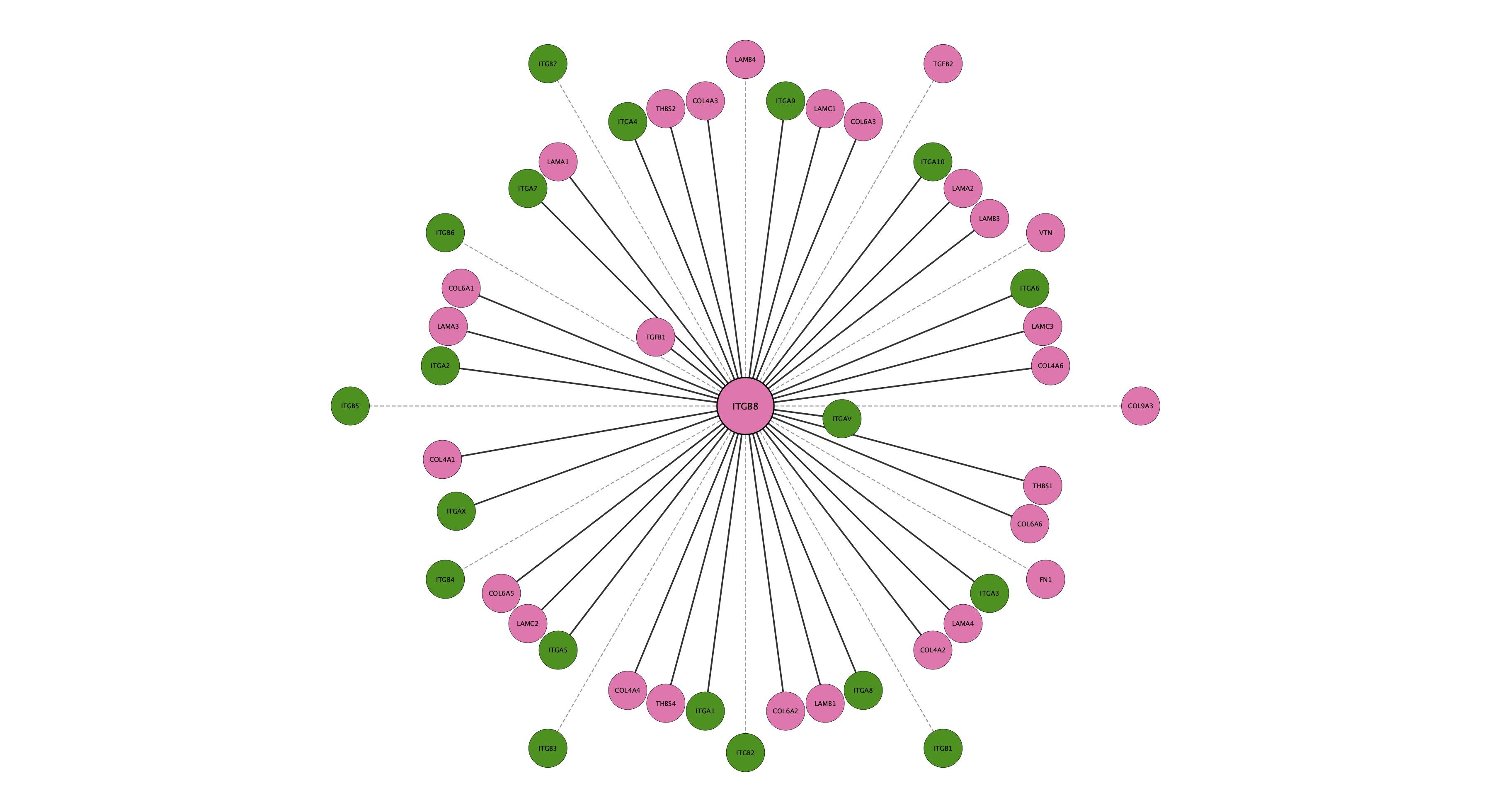 ITGB8 protein interaction network